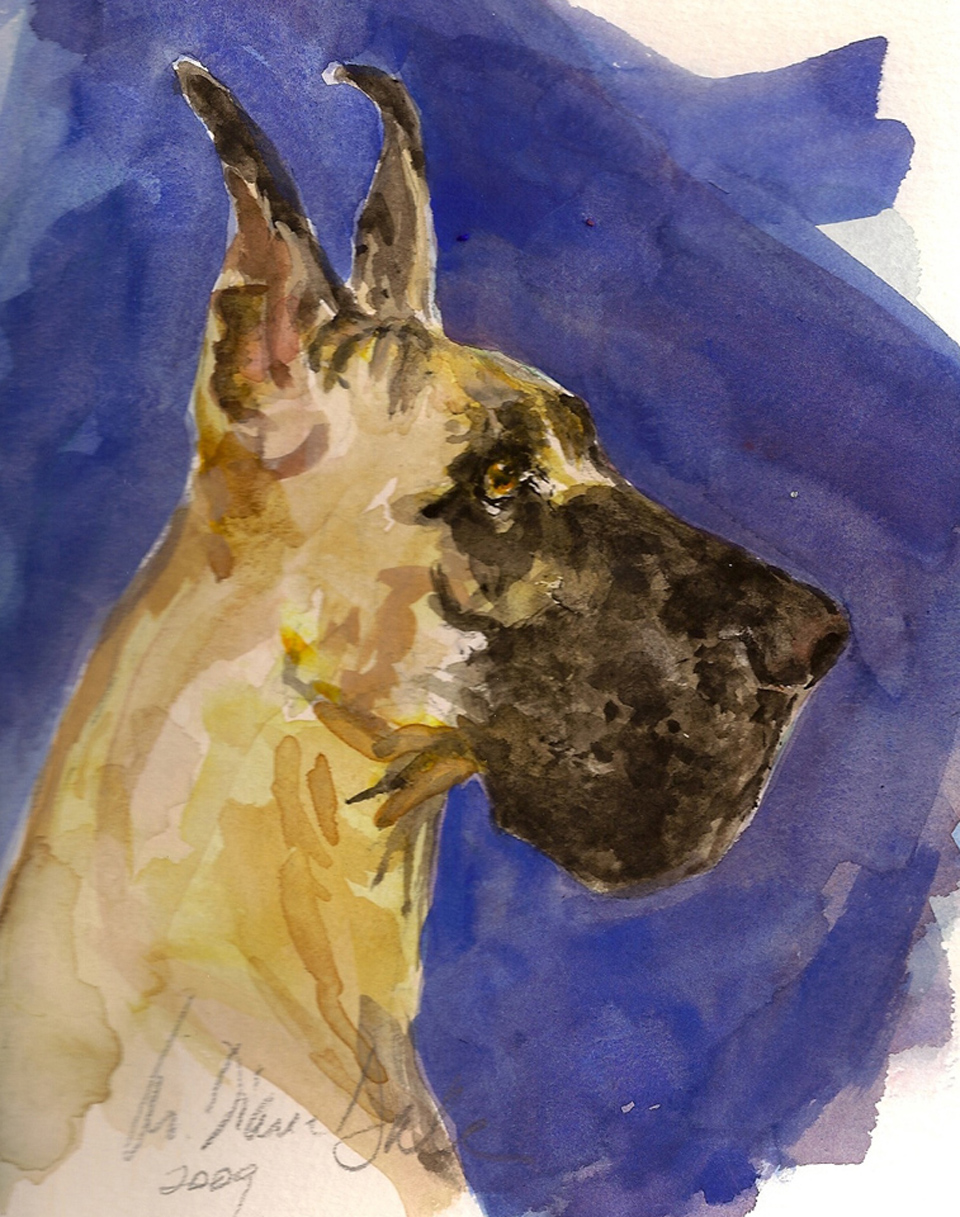 Great Dane