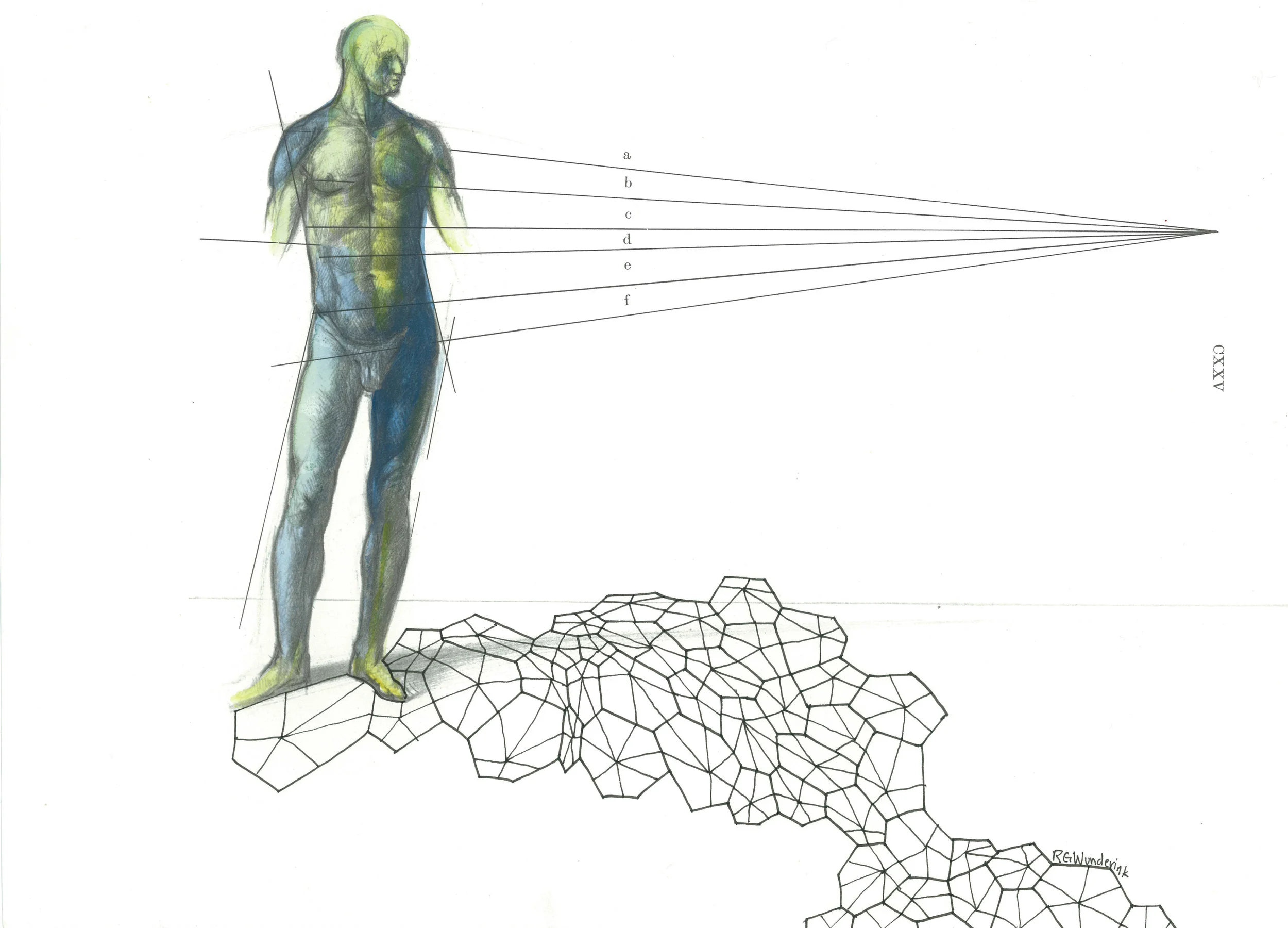 "anatomy appropriations no.7"