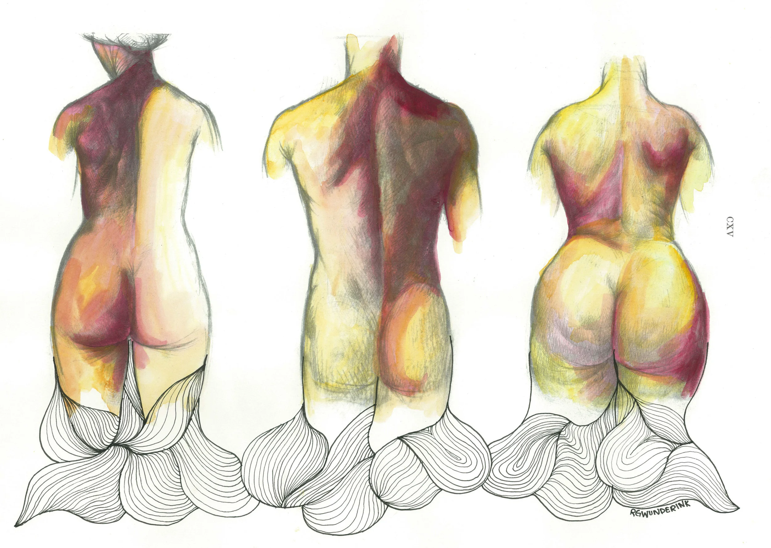 "anatomy appropriations no.11"