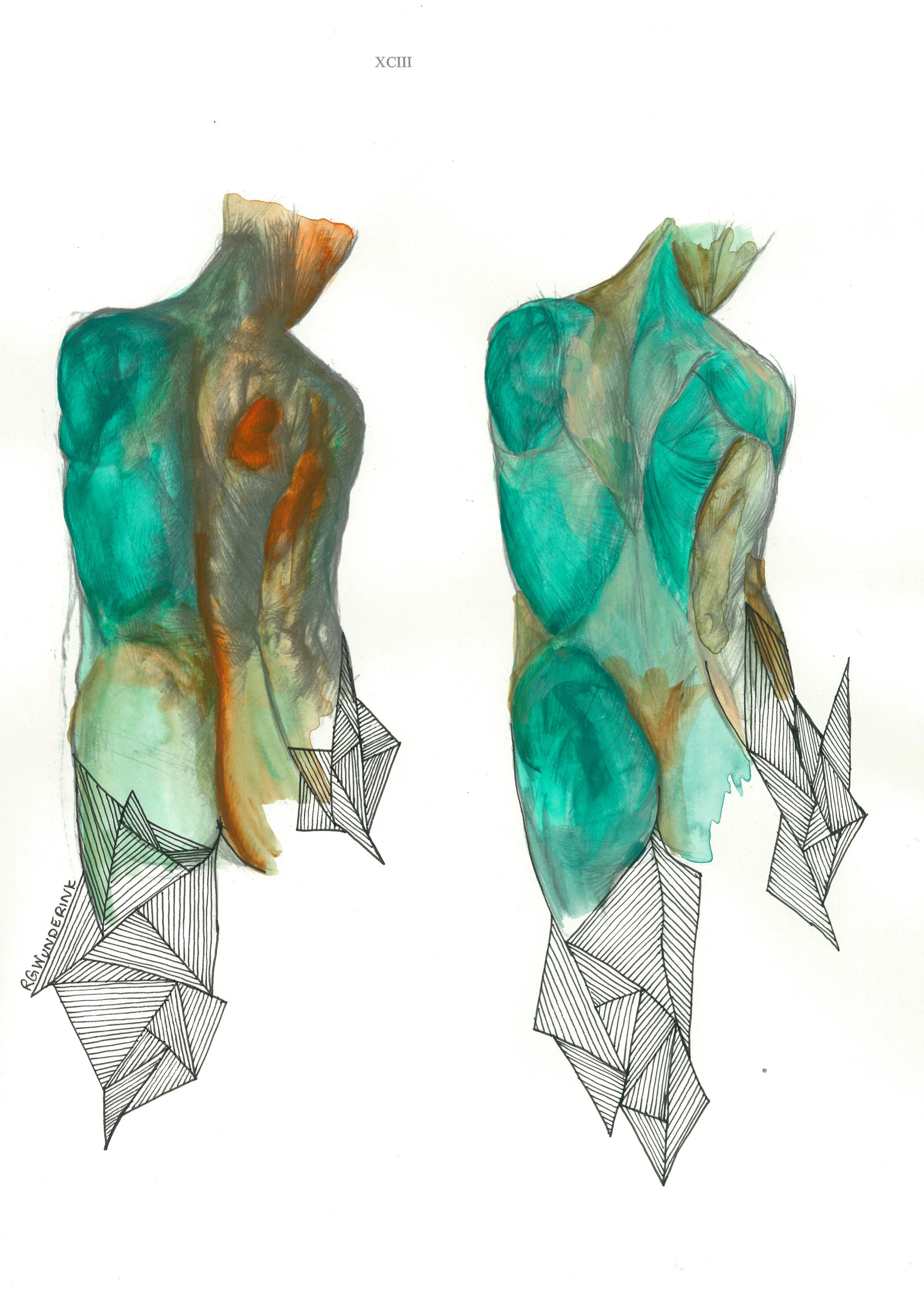 "anatomy appropriations no.12"