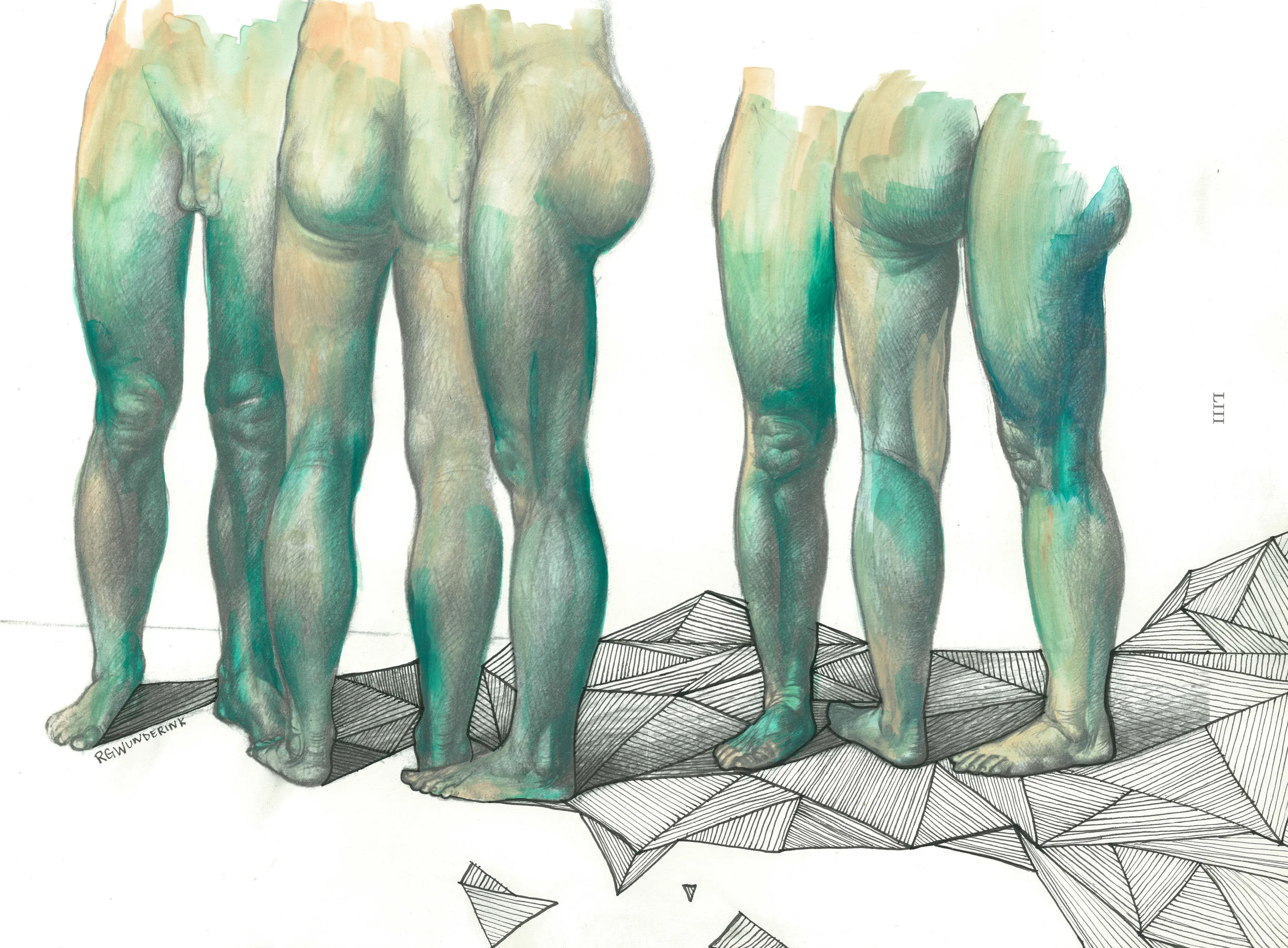 "anatomy appropriations no.15"