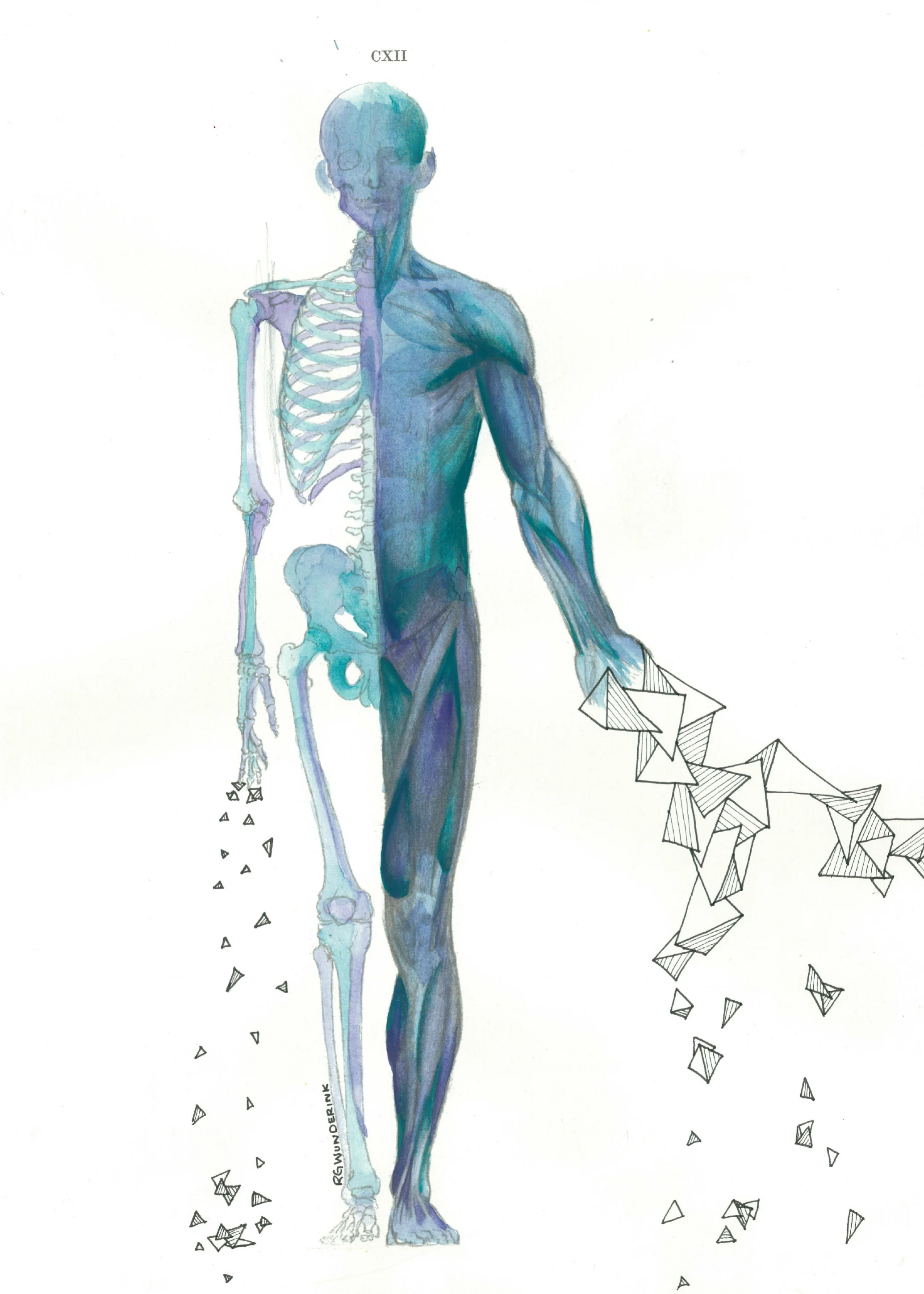 "anatomy appropriations no.21"