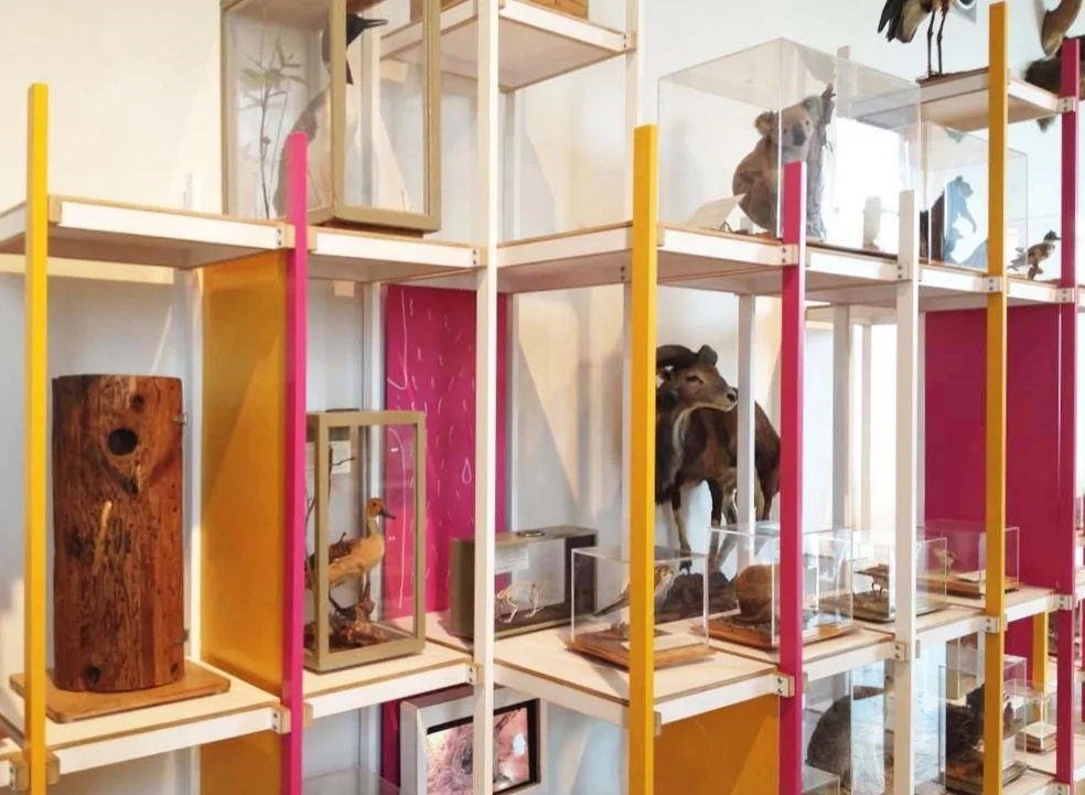 Discovery Center3 copy.jpg