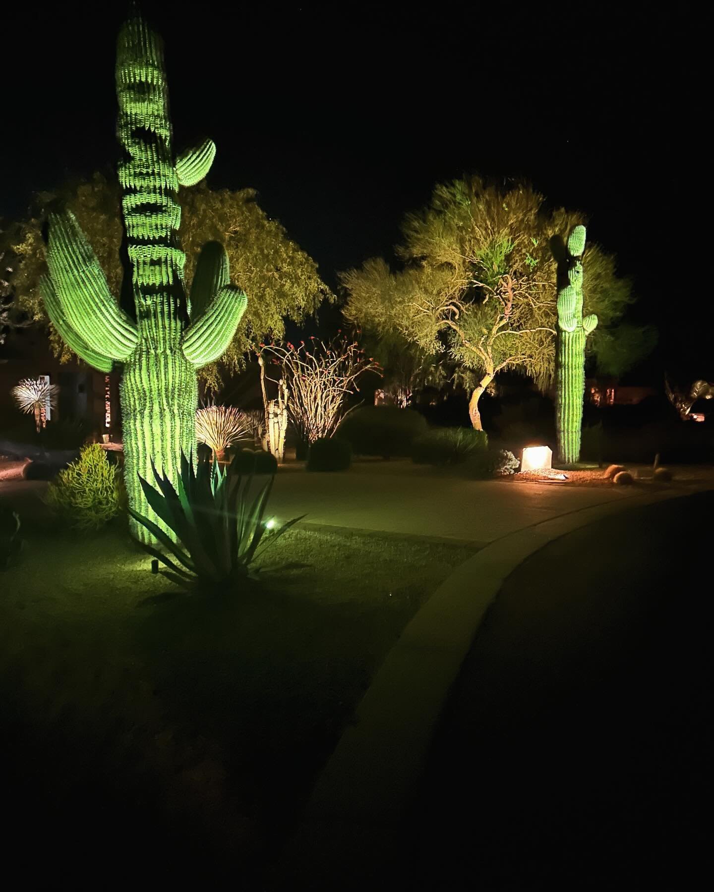 The right bulb can make all the difference. This was a great way to accent these Saguaros!