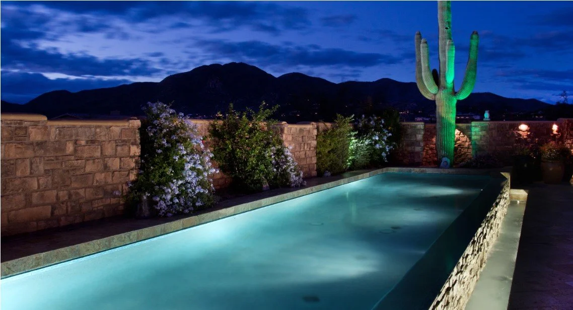 Pool & Saguaro Silver Green.jpg