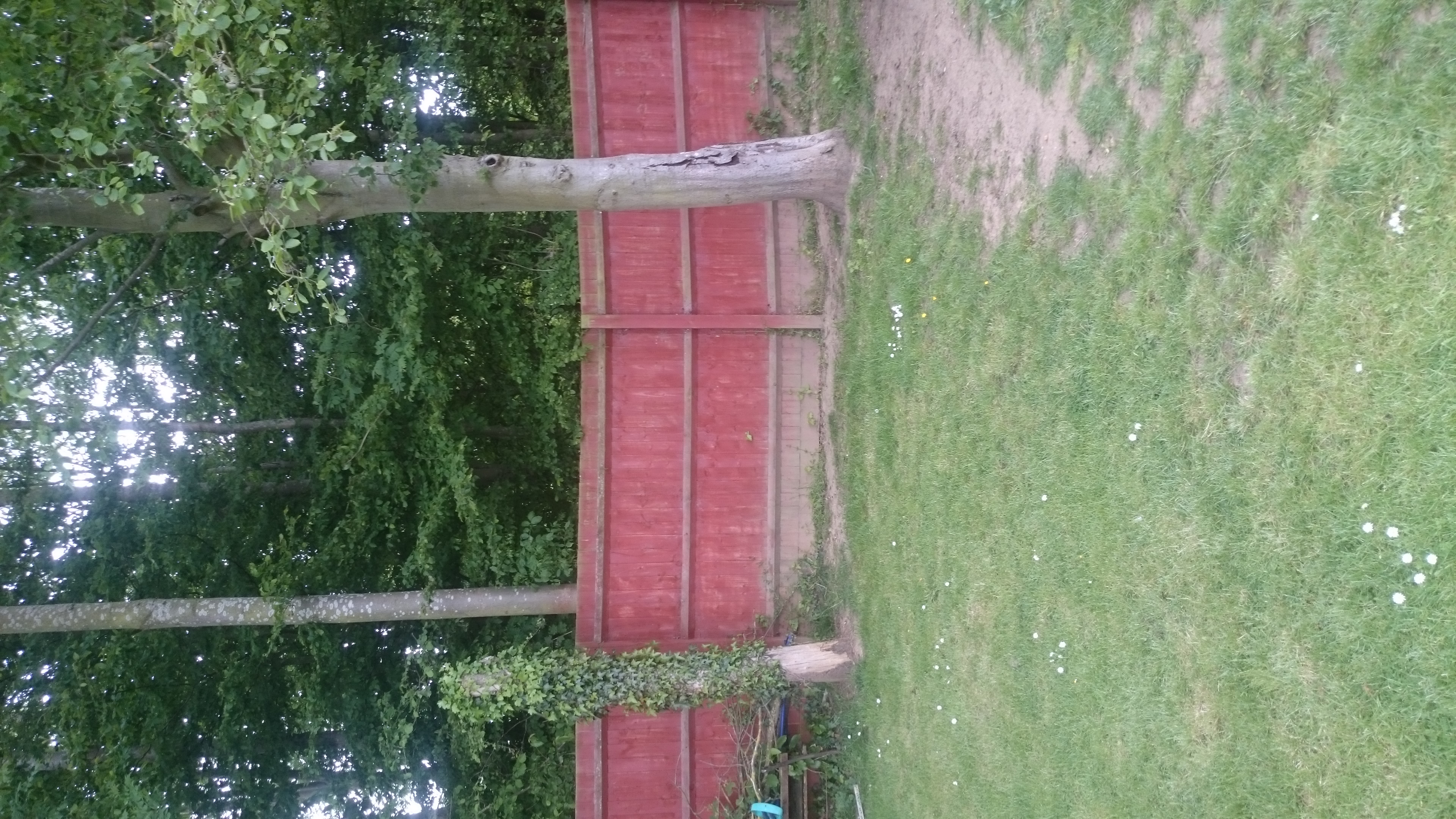 Before
