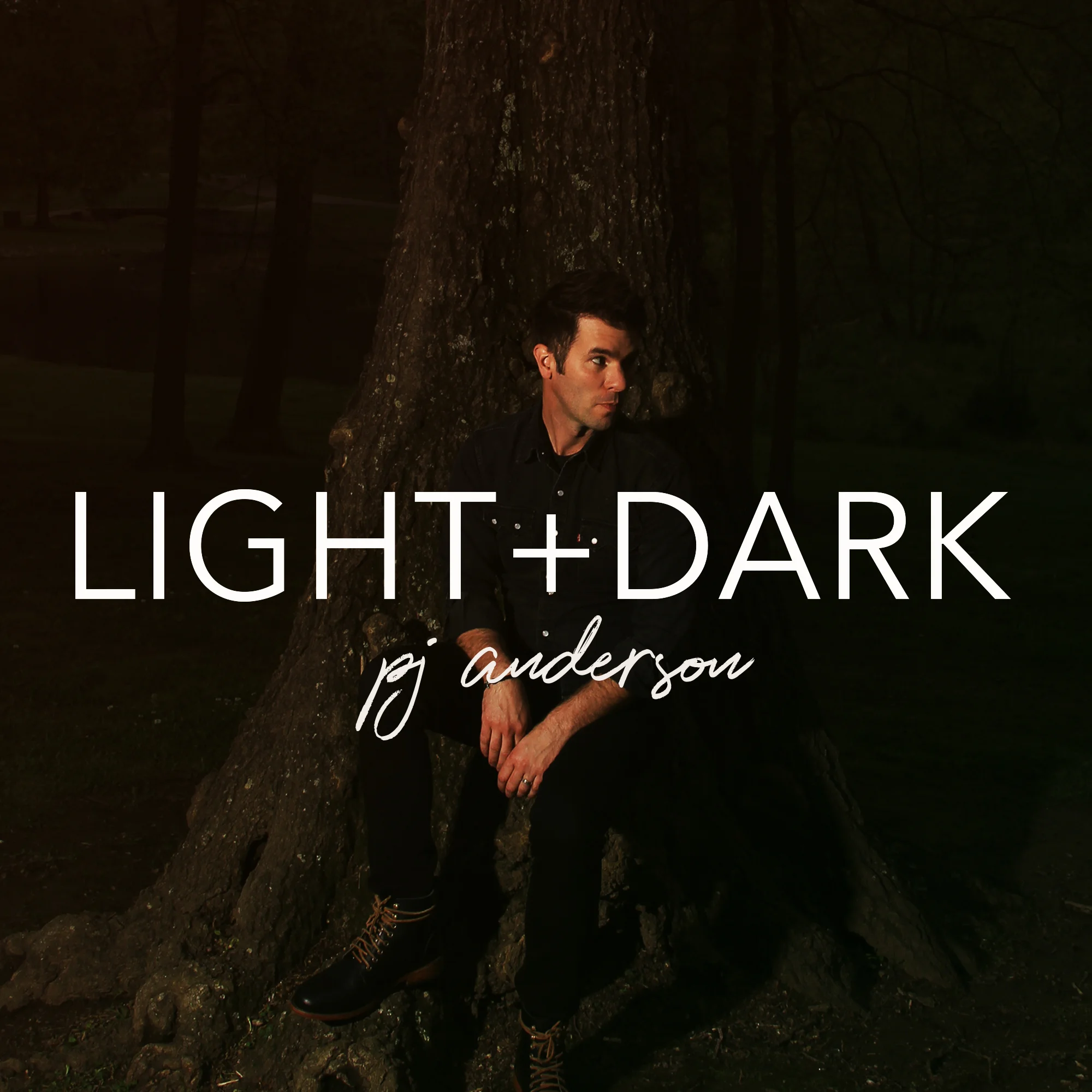 lightdarkcover.1.jpg