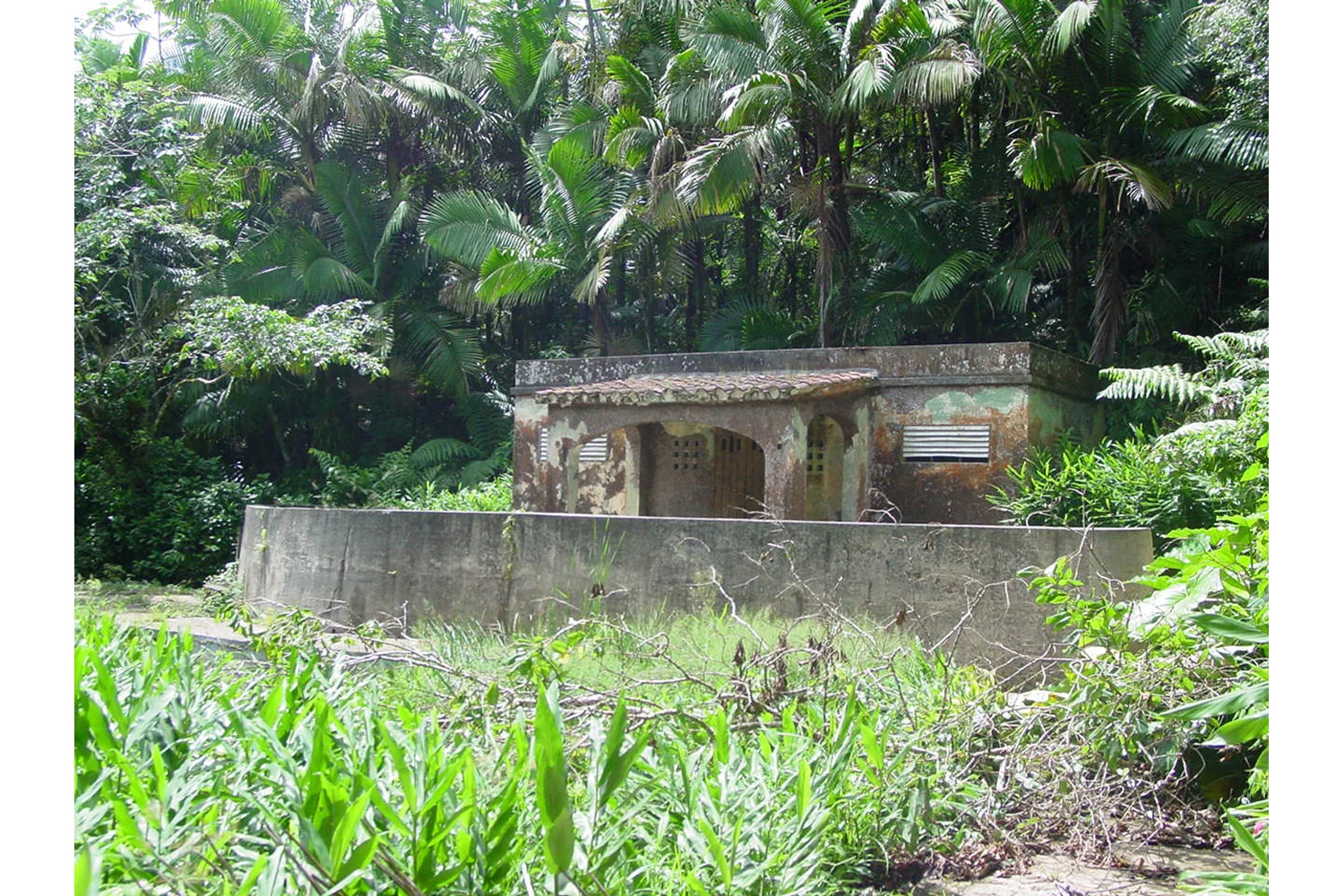 El Yunque National Forest - Baño de Oro Rehabilitation