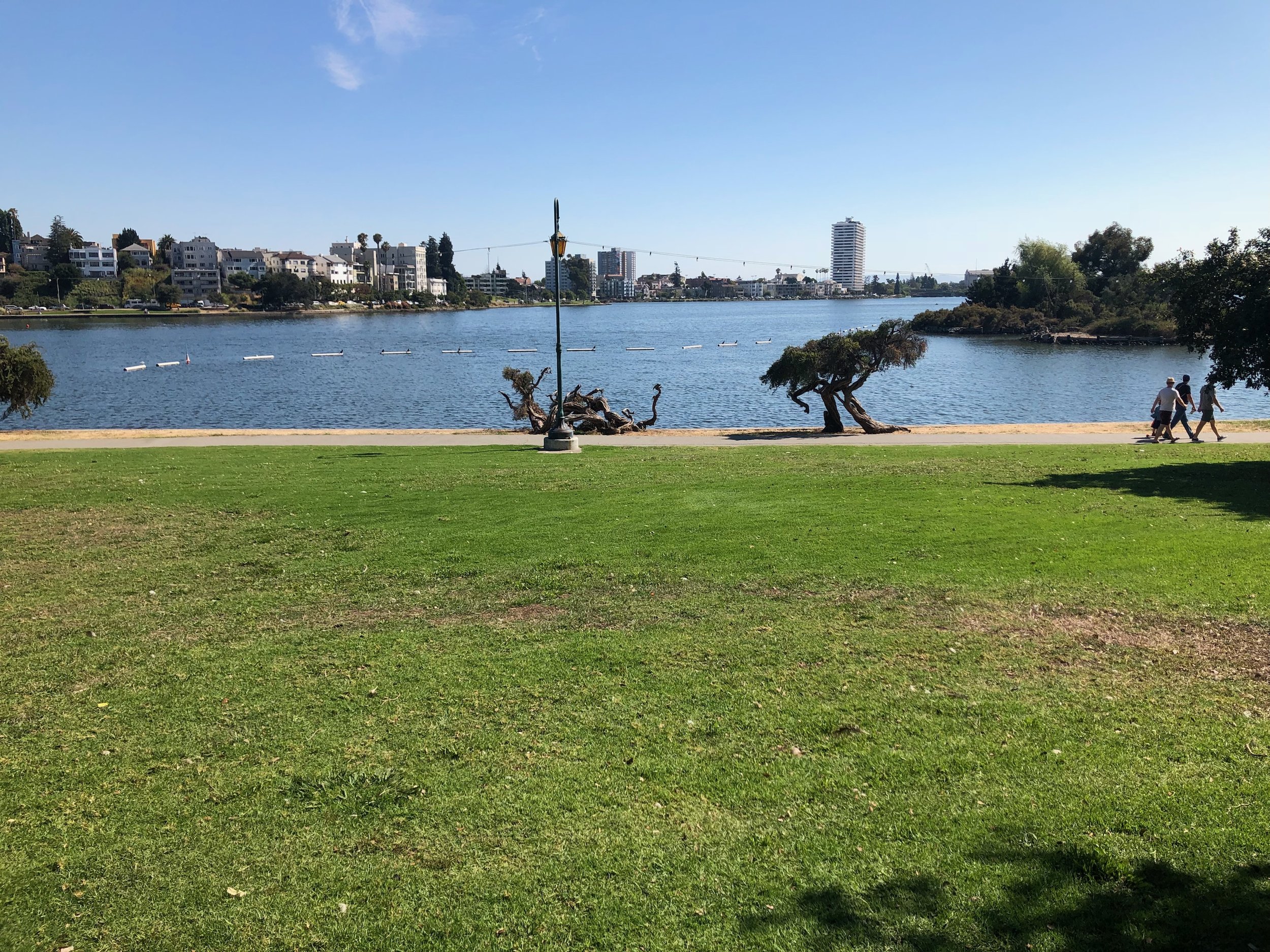 IMG_2579.jpeg