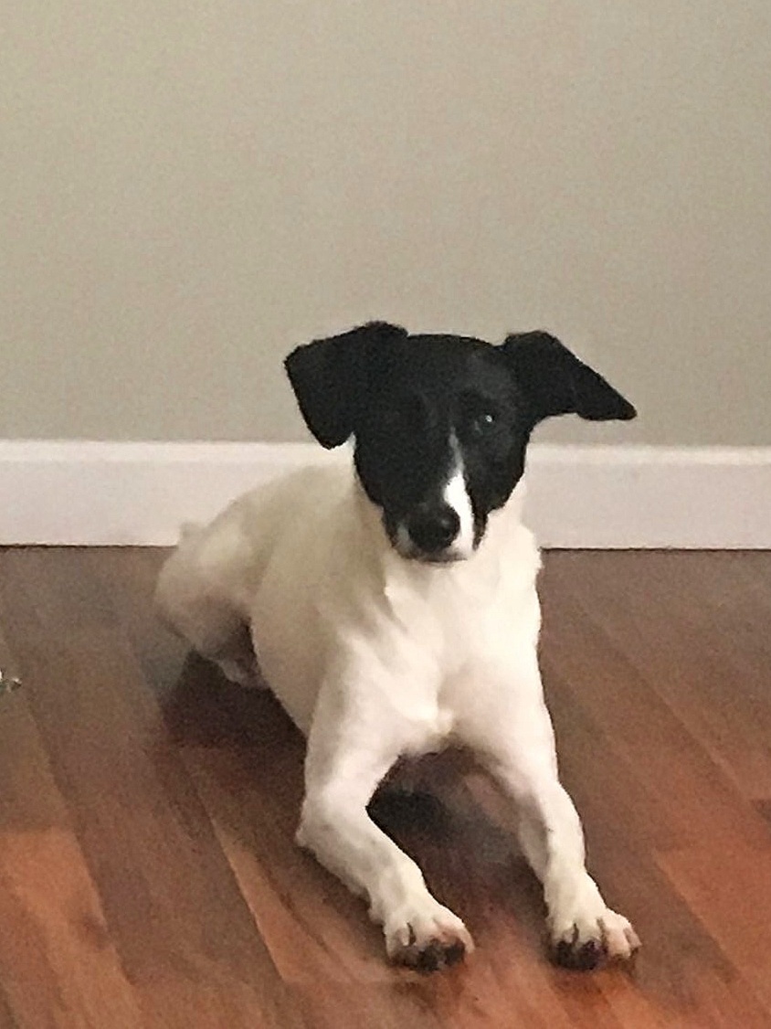 Cooper+1.jpg