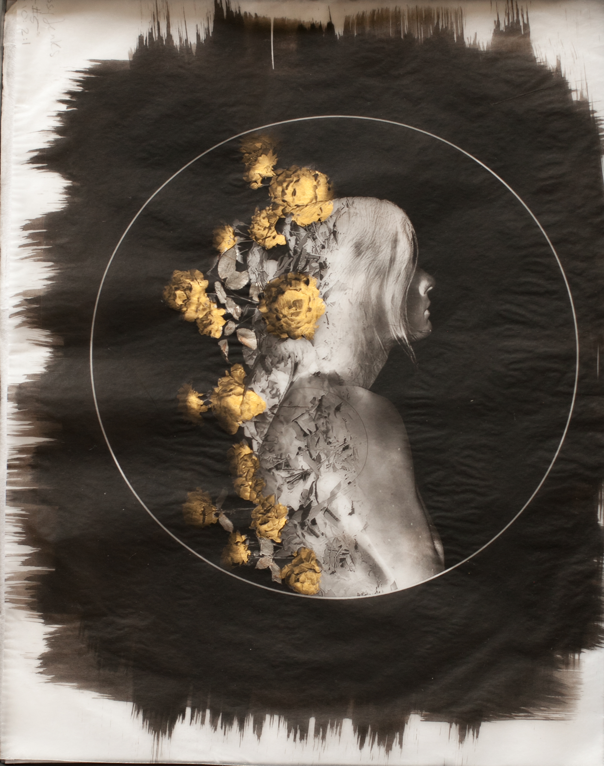 Platinum & Palladium hand coated on Velum over Gold & Silver Leaf Efflorescence series