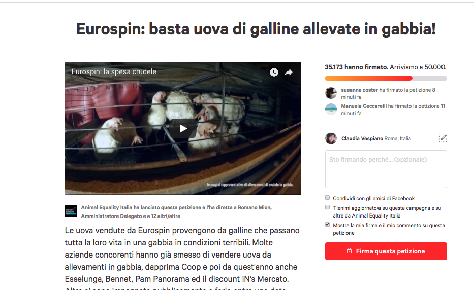 immagine 3.png