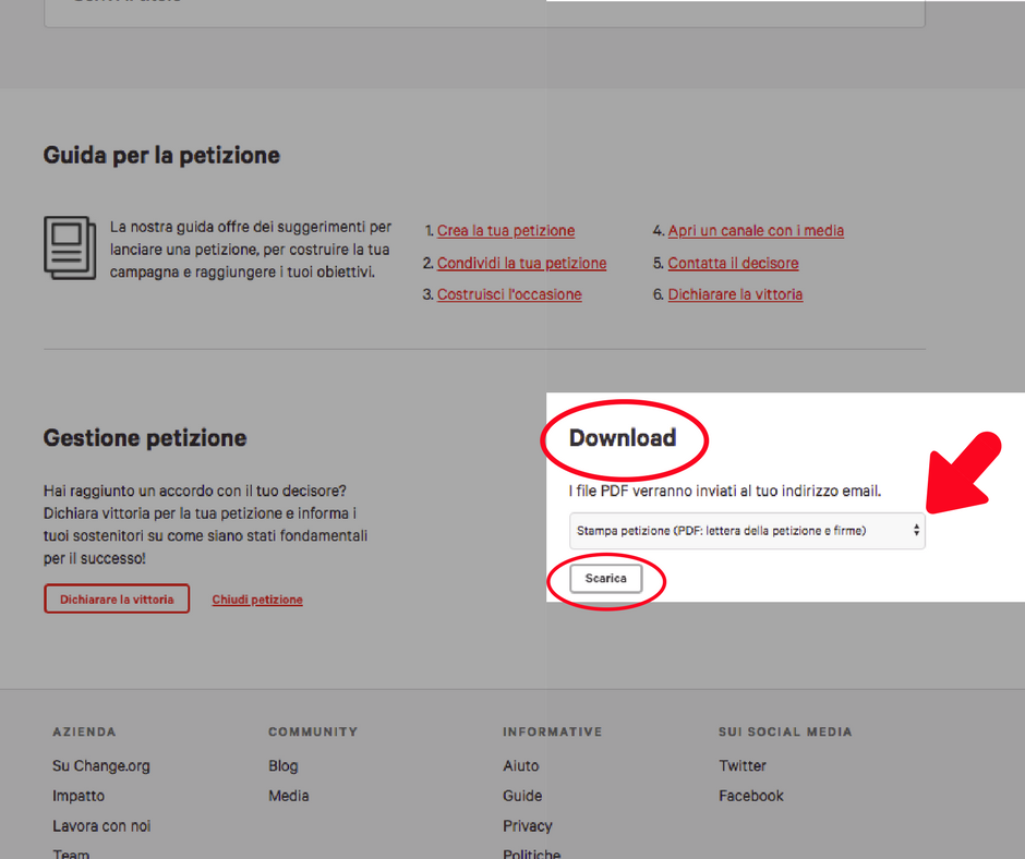 immagine 7.png