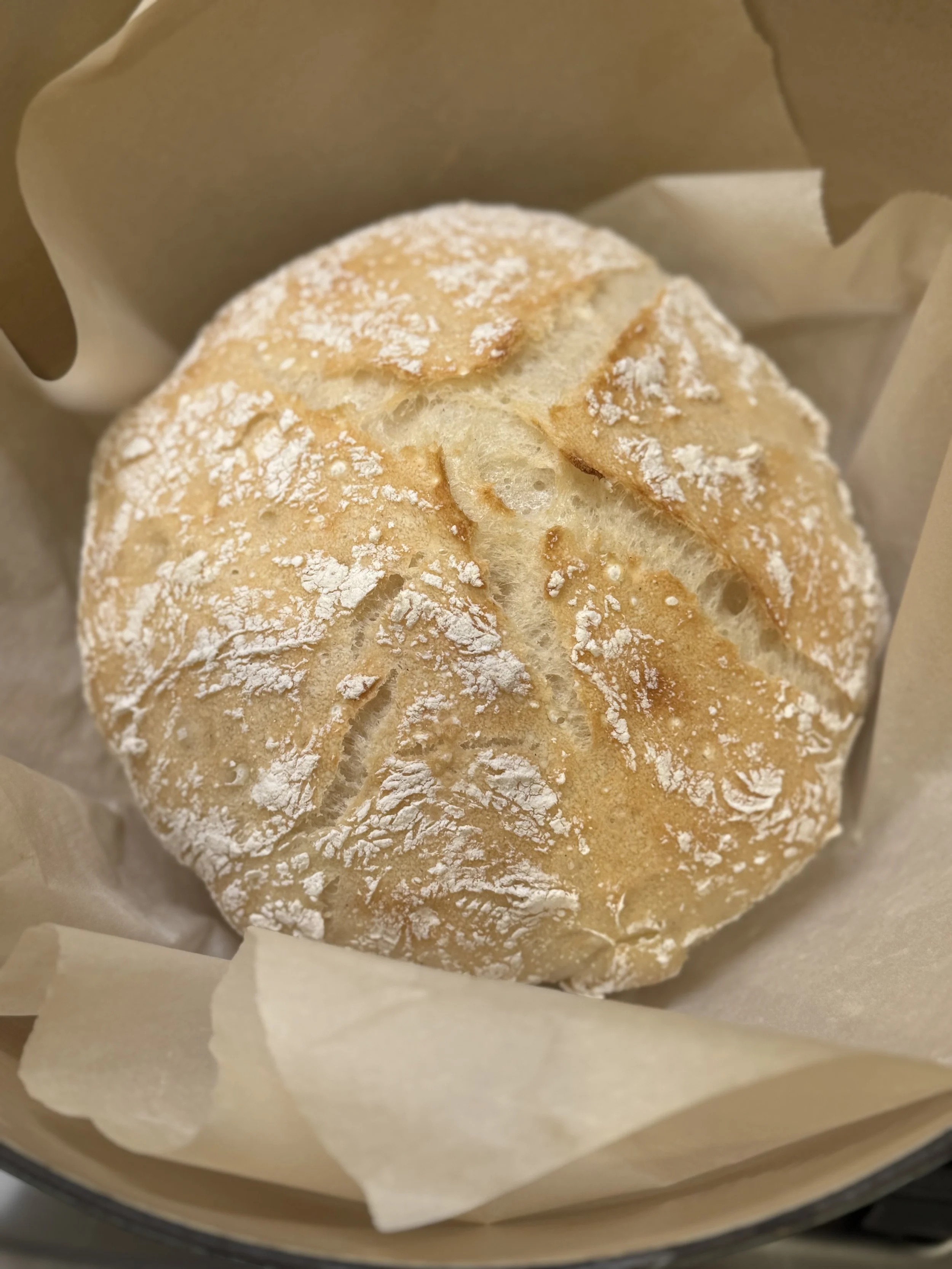 Gluten-Free Italian Bread