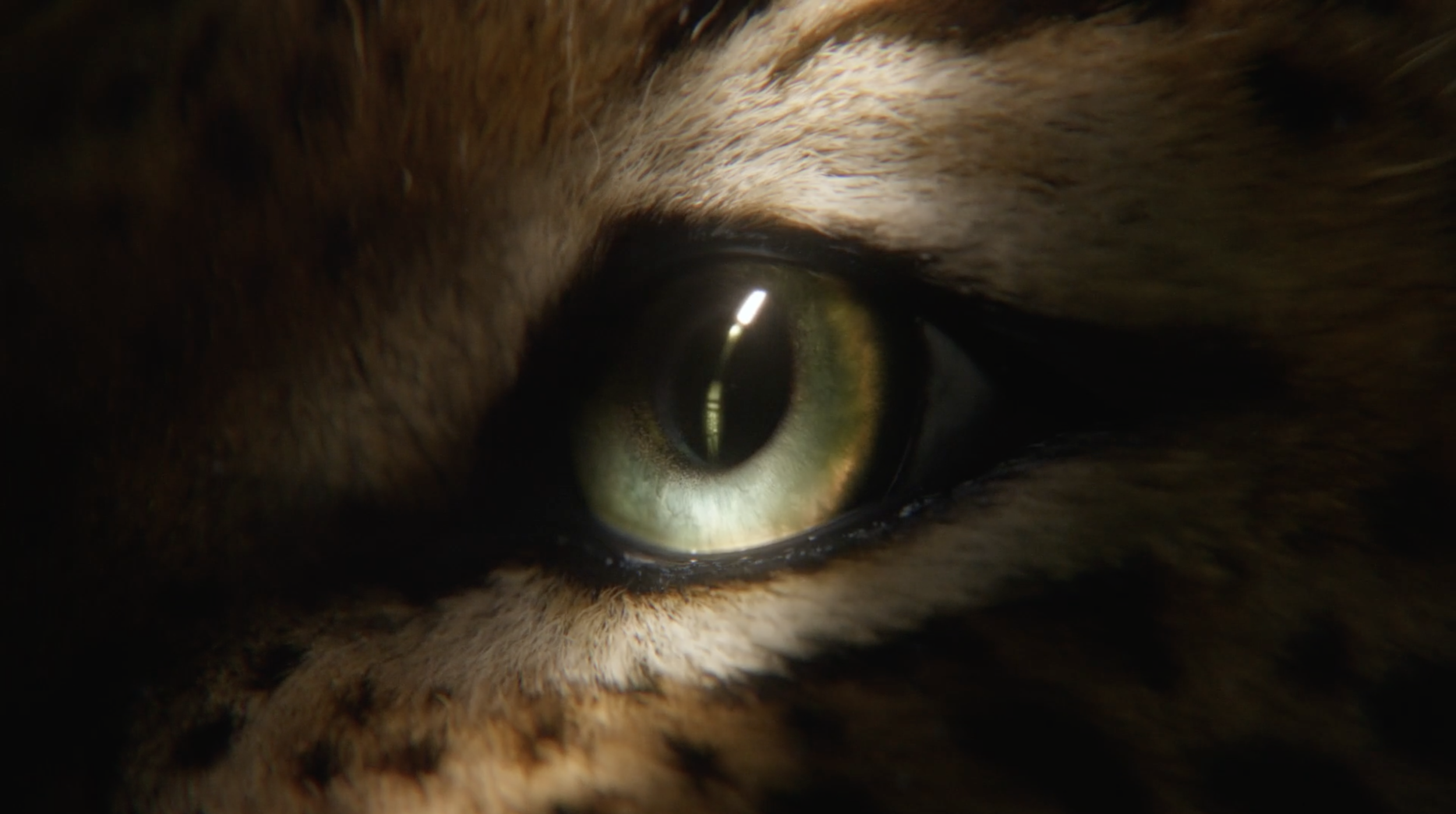 Screen Shot 2021-05-09 at 14.51.39.png