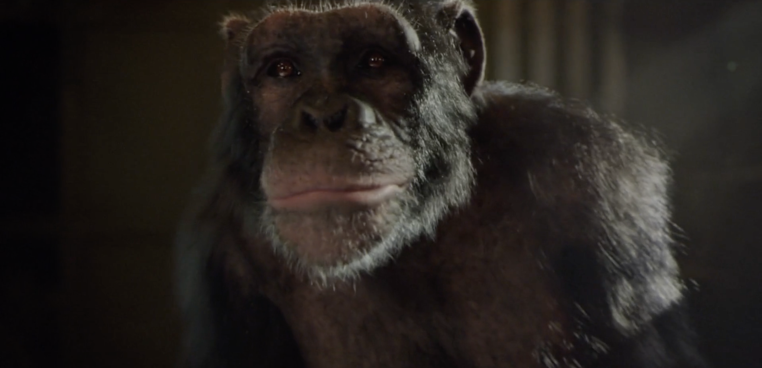 Screen Shot 2021-05-09 at 16.06.22.png