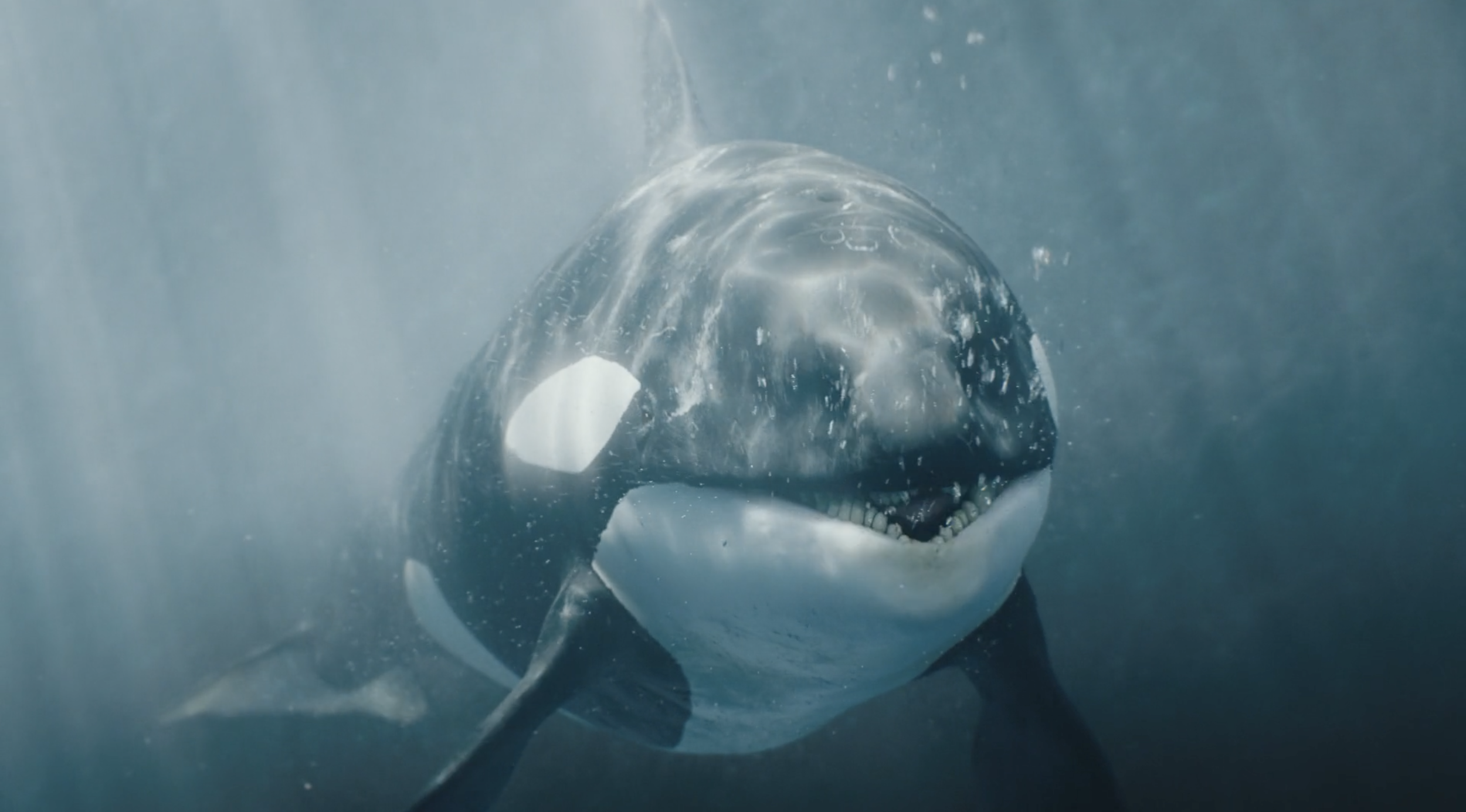 Screen Shot 2021-05-09 at 16.59.49.png