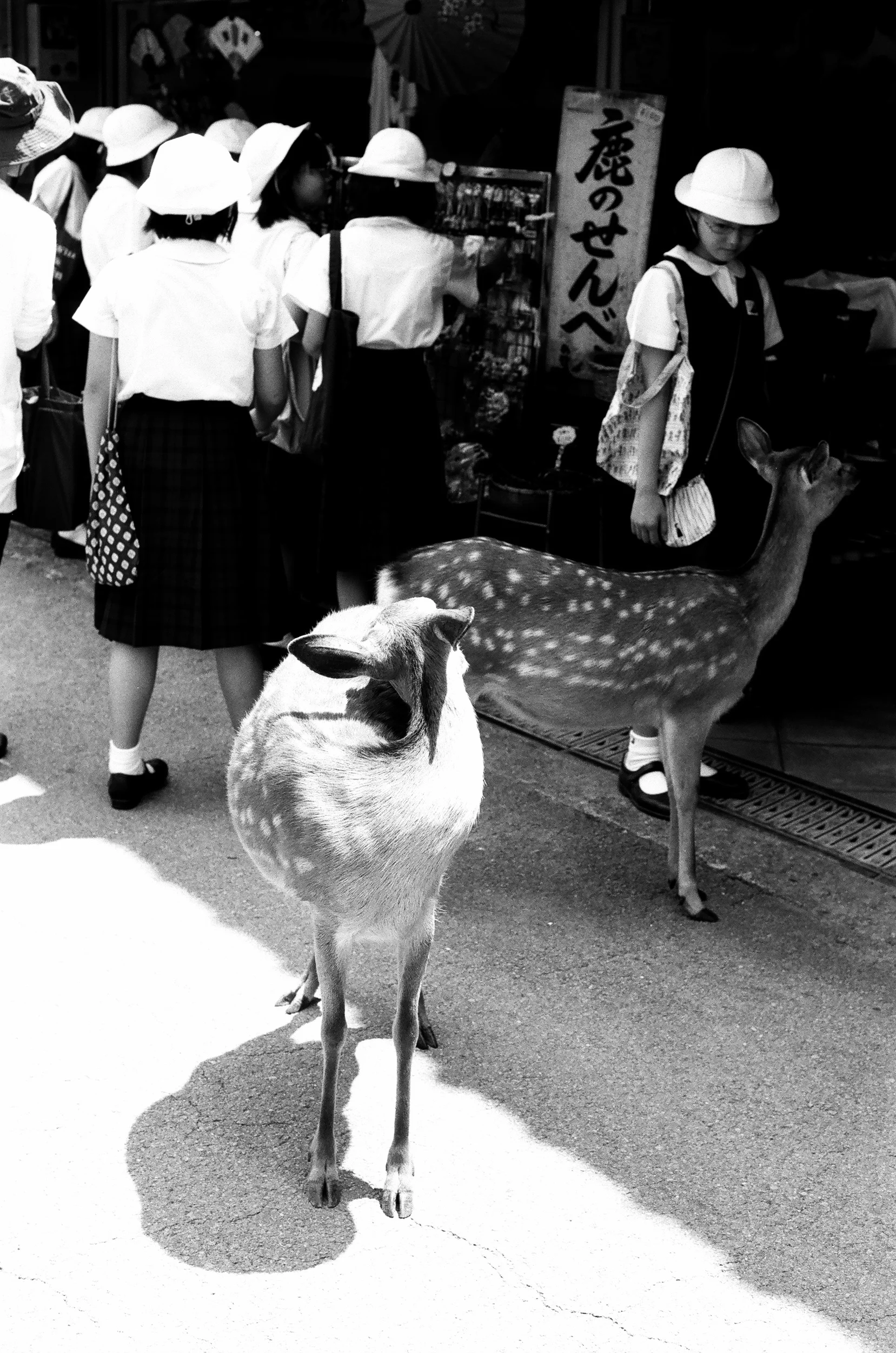  NARA, JAPAN 