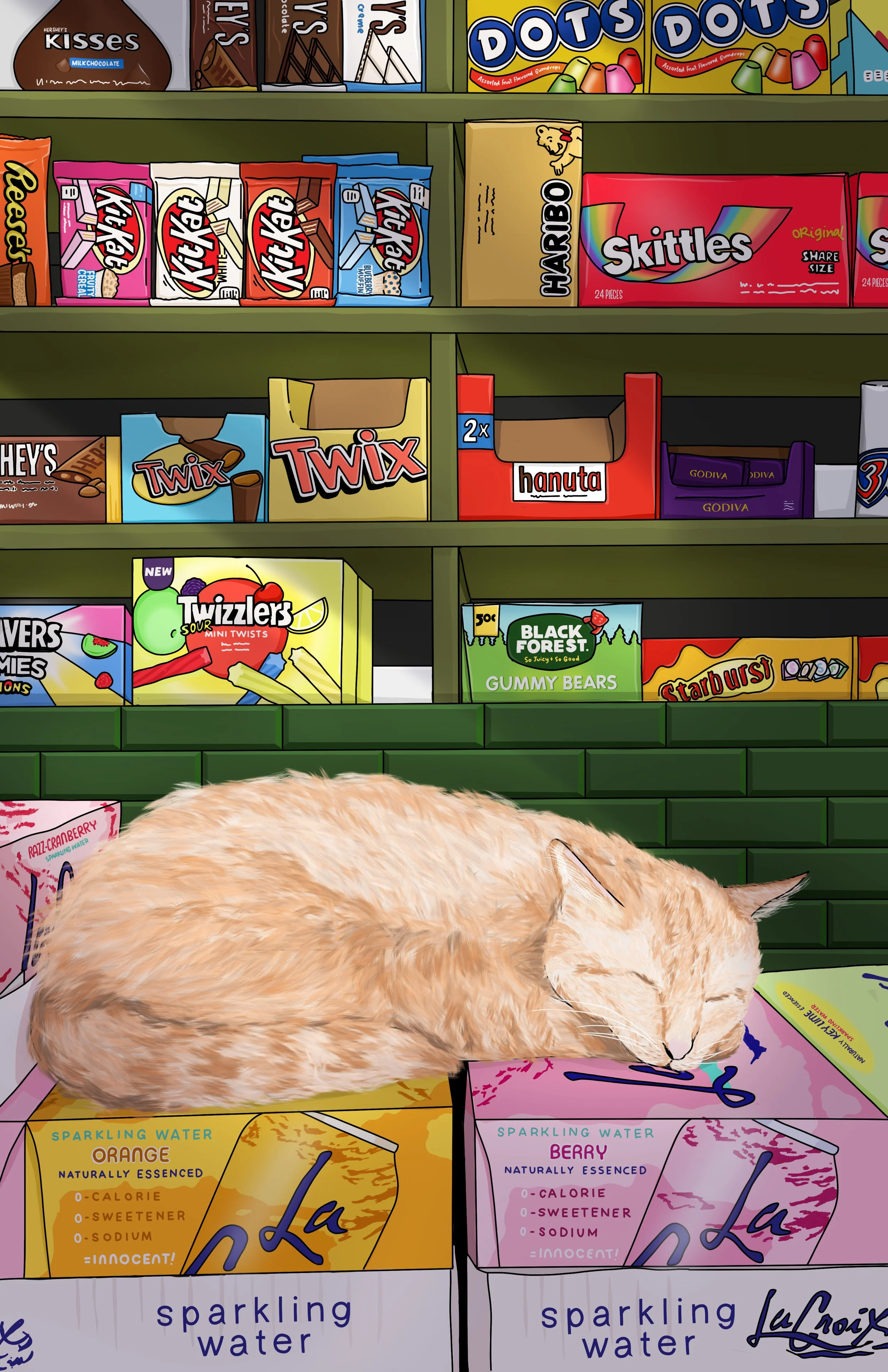 bodega-cat.jpg