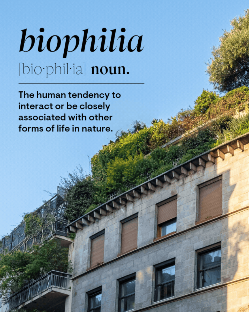 Biophilic design defined (3).gif