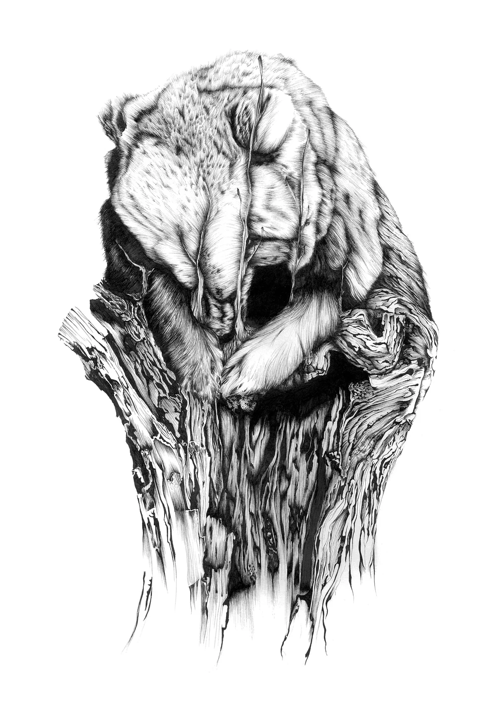 Beartree, 2012
