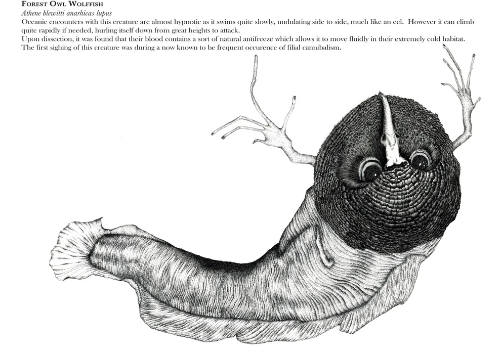 41+owlfish+combined.jpg