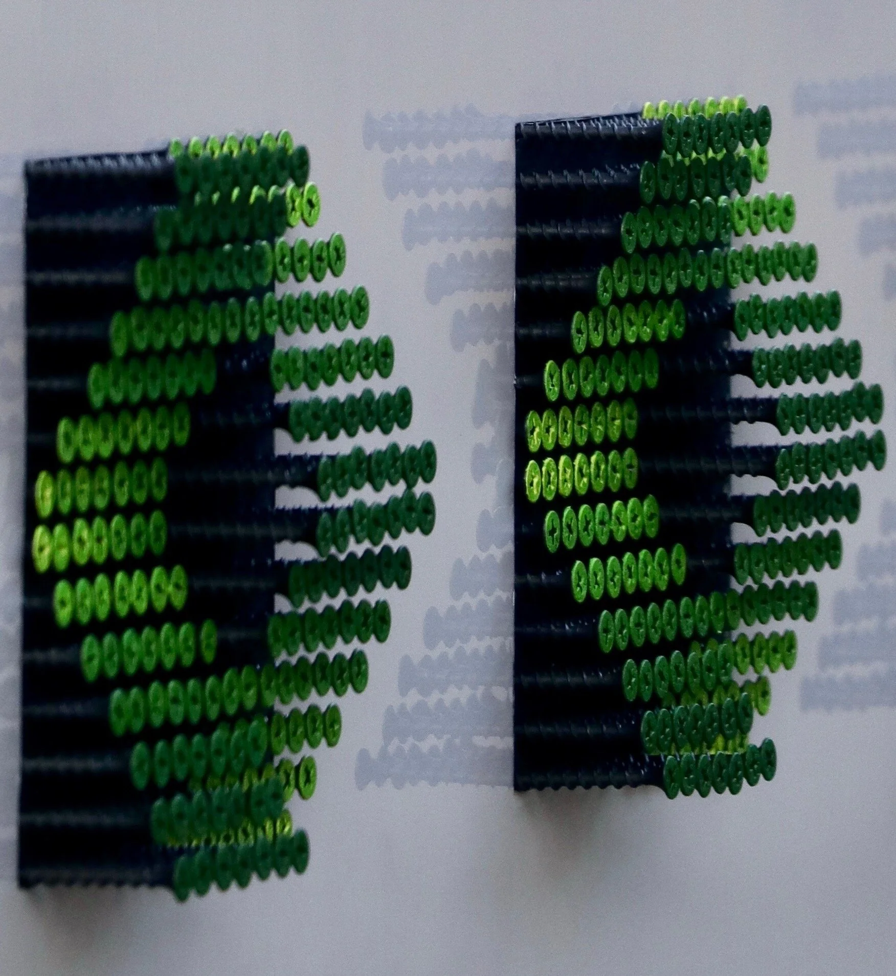 Lemon tree in winter_1664 copy.jpg