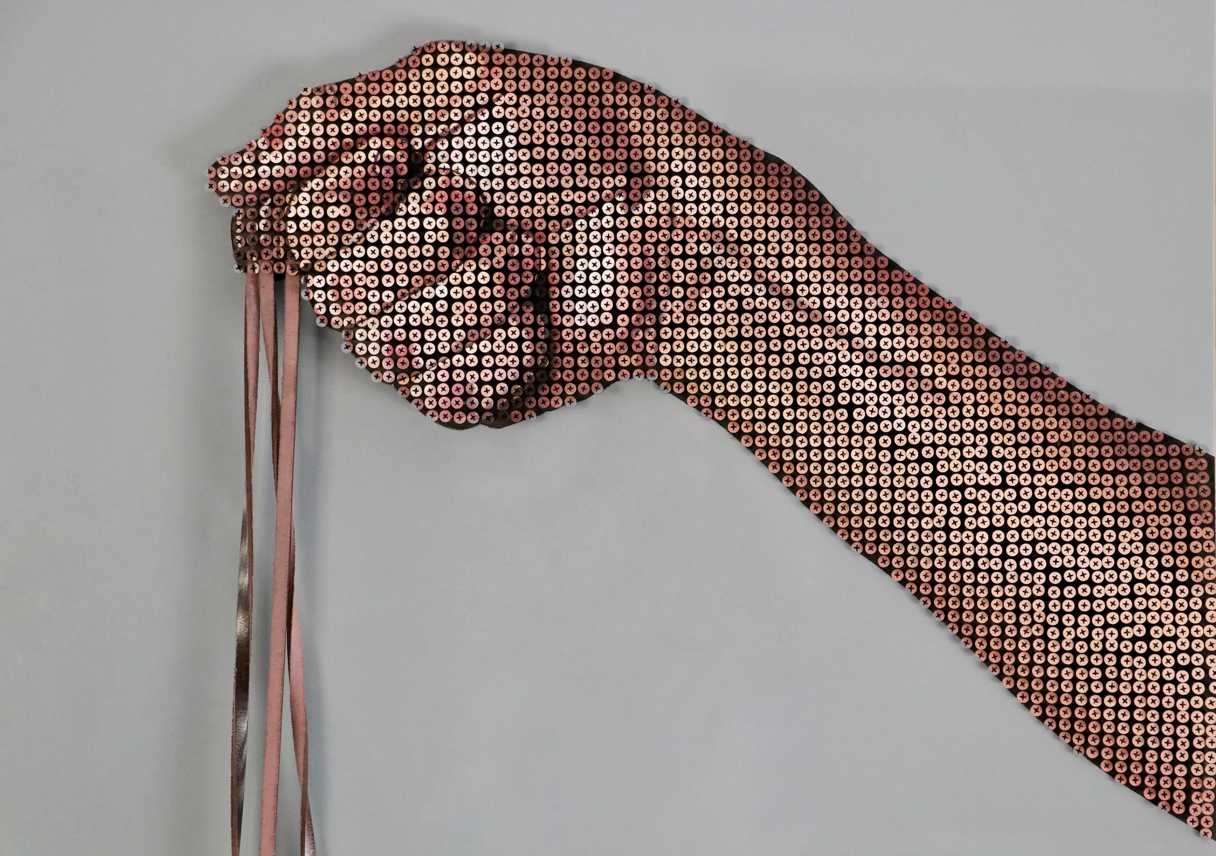 hand and boots_7623.JPG