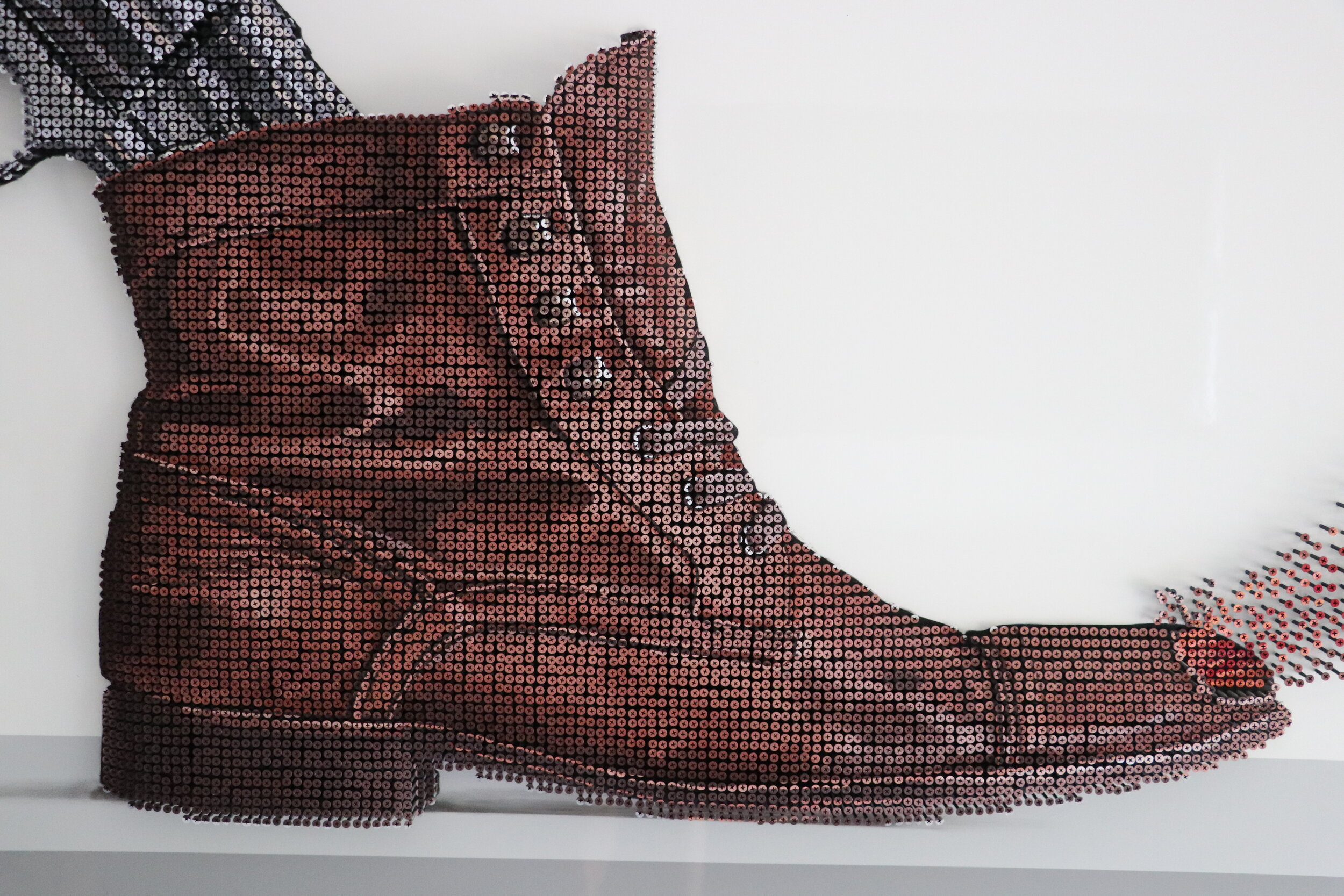 I shot myself in the foot_7973.JPG