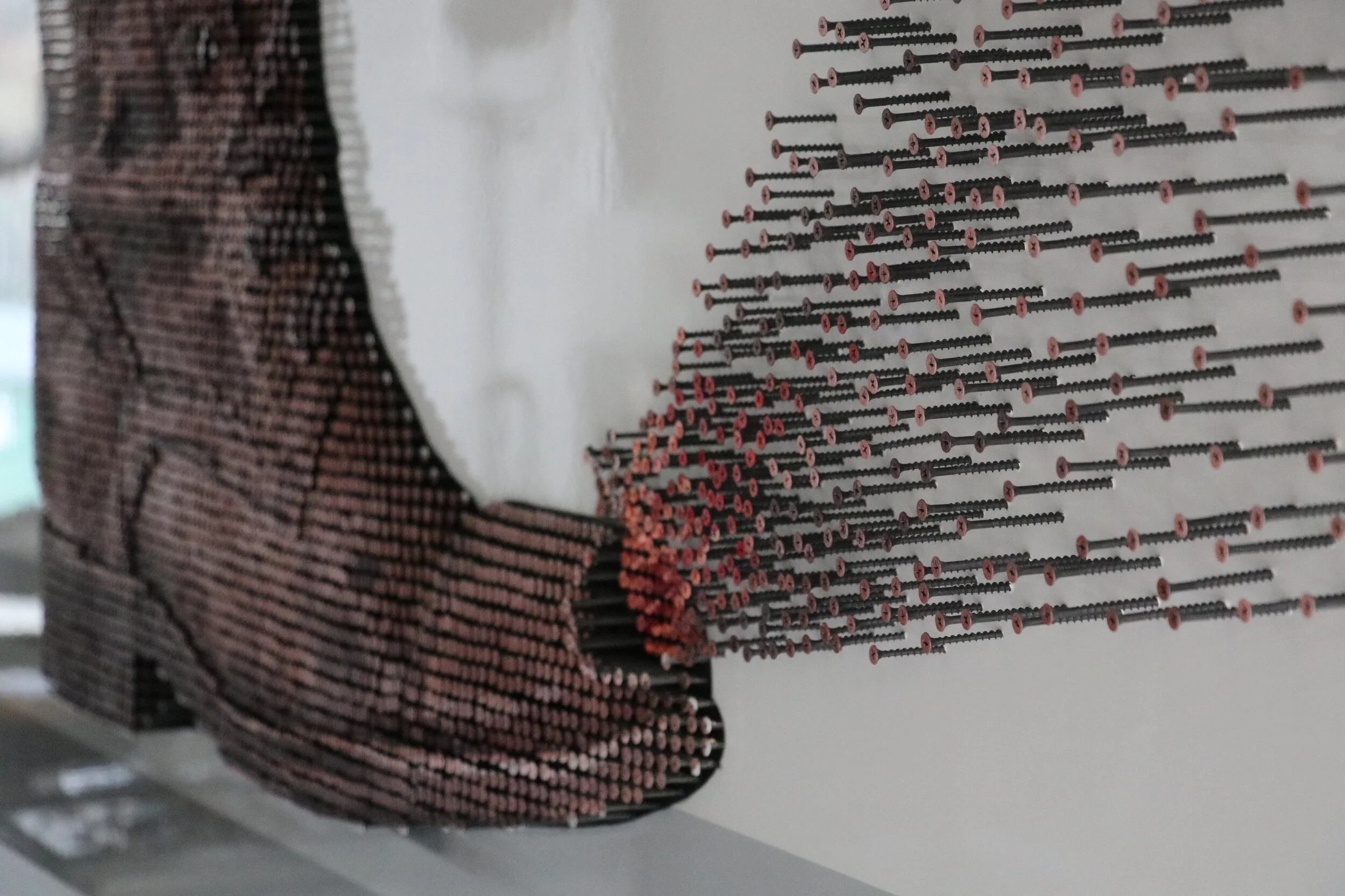 I shot myself in the foot_7974.JPG