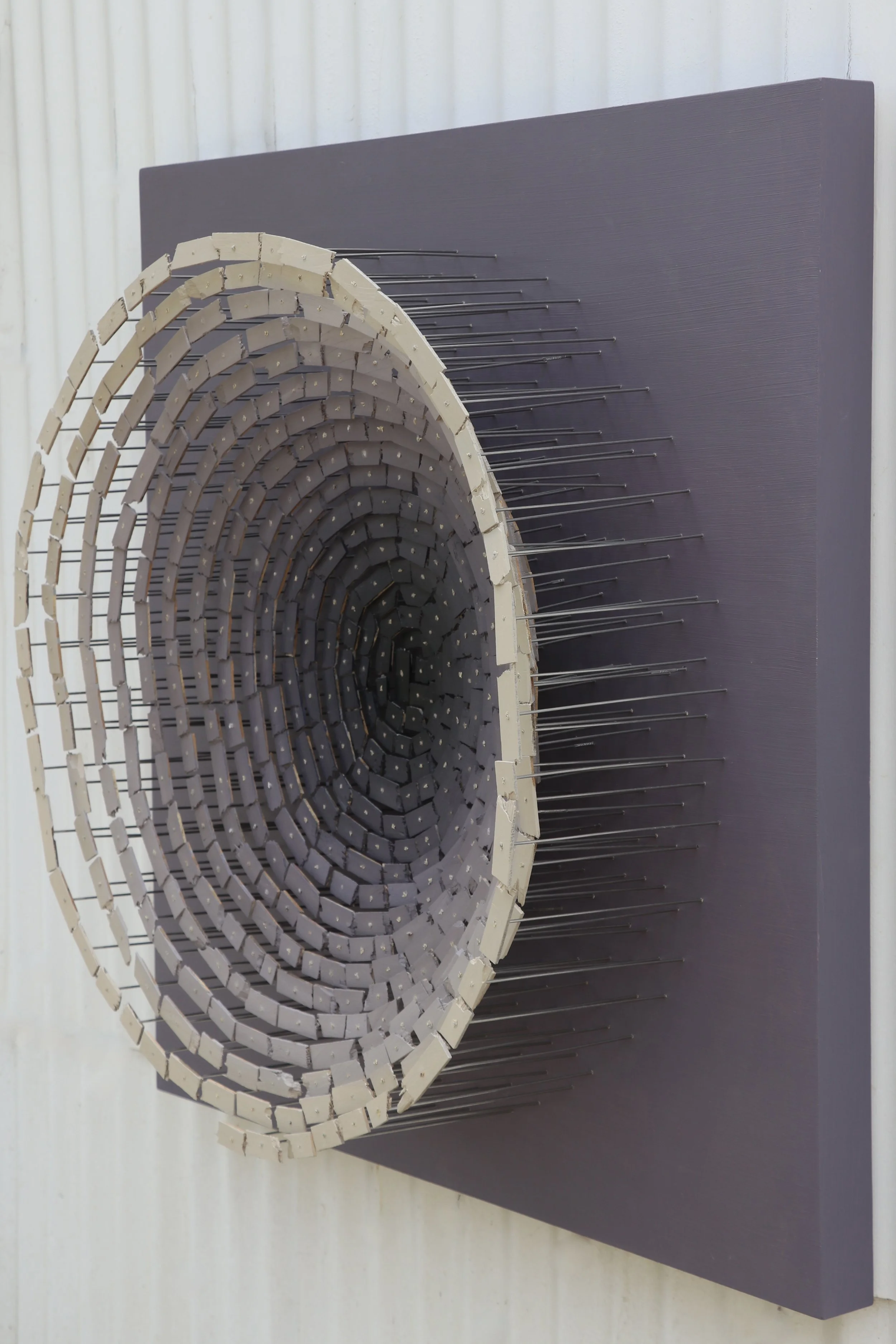 black hole purple_9386 2.JPG