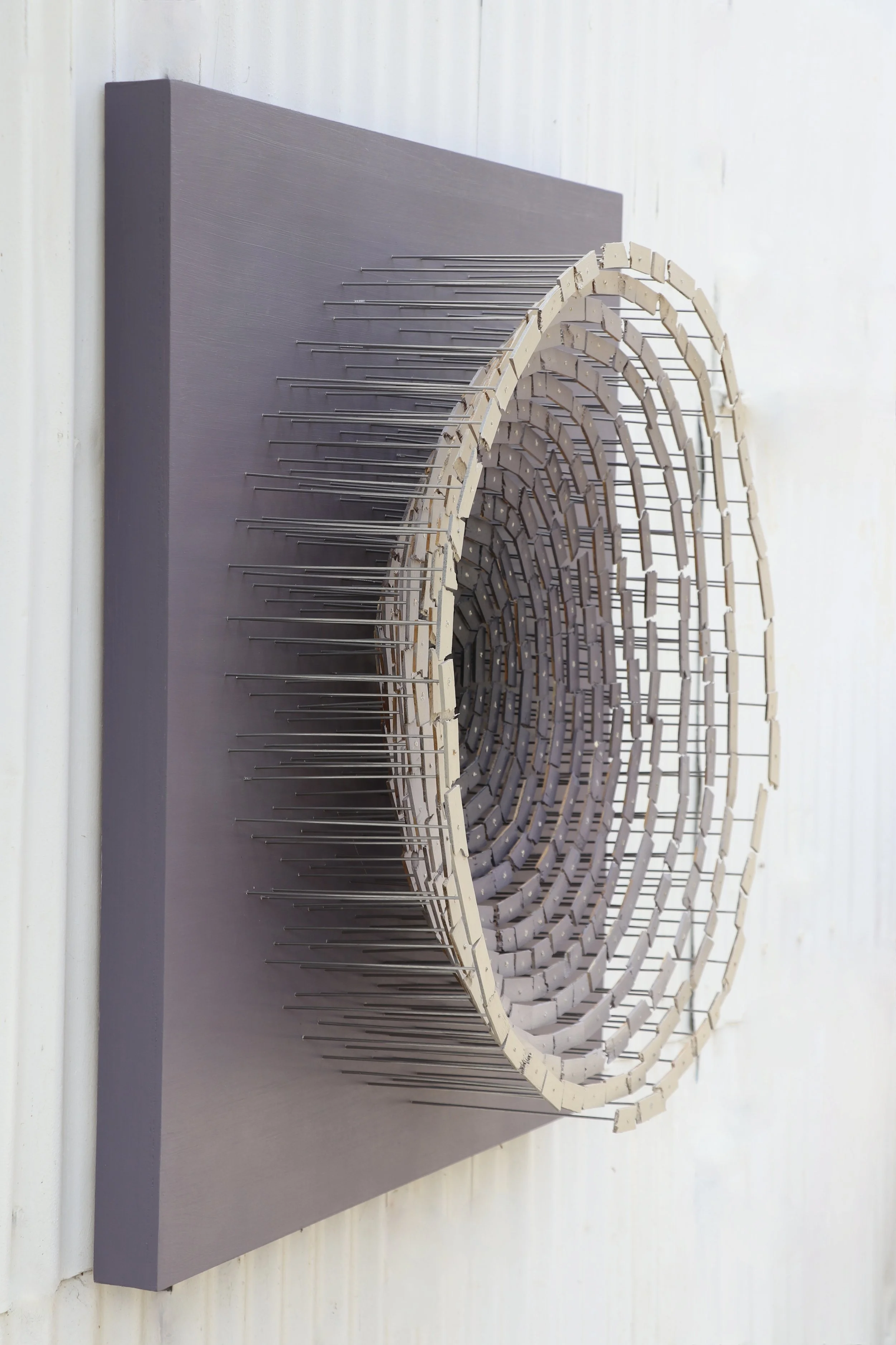 black hole purple_9385 2.JPG