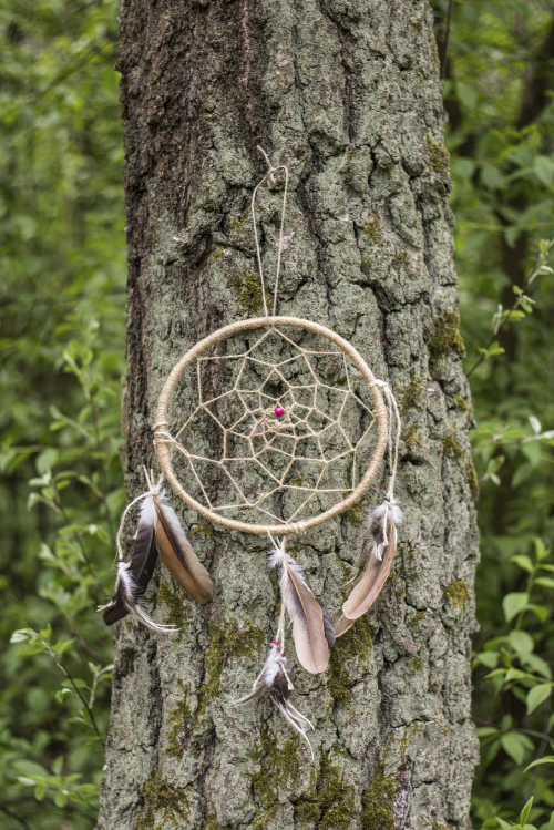 Dreamcatcher.jpg
