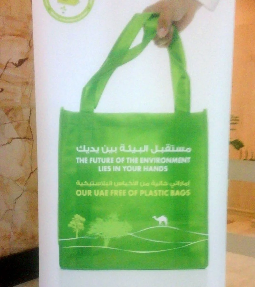 Abu Dhabi Bailed out Dubai-- Is the World Next?