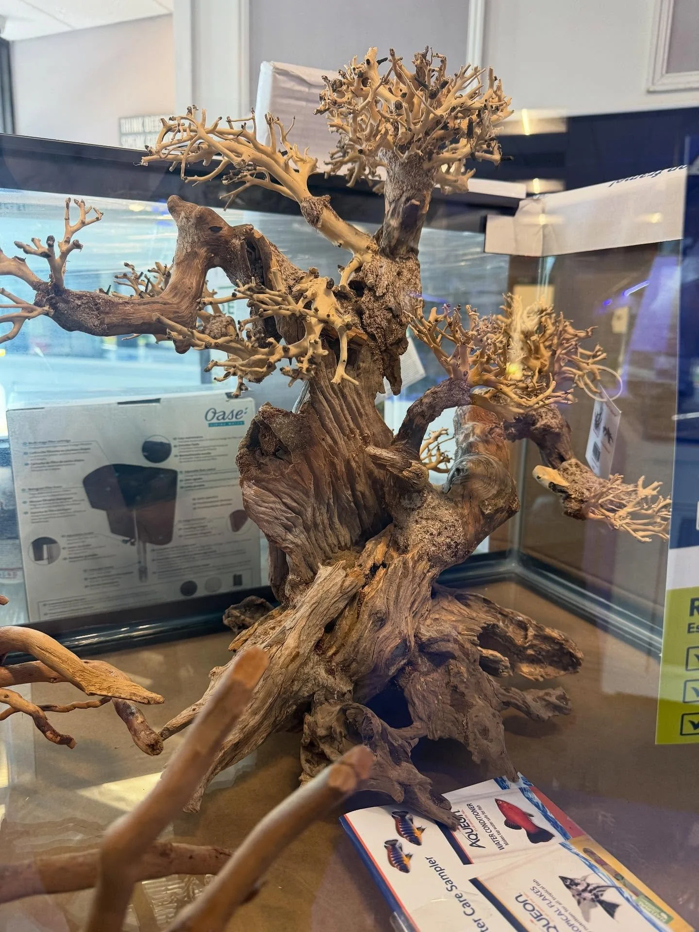 New hardscape just arrived 😍 
.
.
.
.
.
#southernaquaticslfs #localfishstore #roswell #georgia #atlanta #marietta #woodstock #alpharetta #plantedaquarium #plantedtank #freshwaterfish #nanotank #southamericancichlids #africancichilds #plants #central