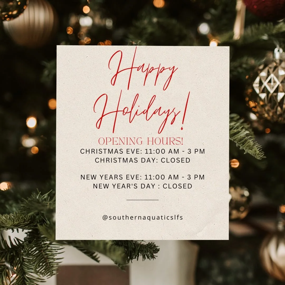 Thank you for an incredible year and for supporting us&mdash;we&rsquo;re so grateful for each of you! Wishing you and your loved ones a warm, joyful holiday season and a happy New Year.

Holiday Hours:
&bull; Christmas Eve: 11am&ndash;3pm
&bull; Chri