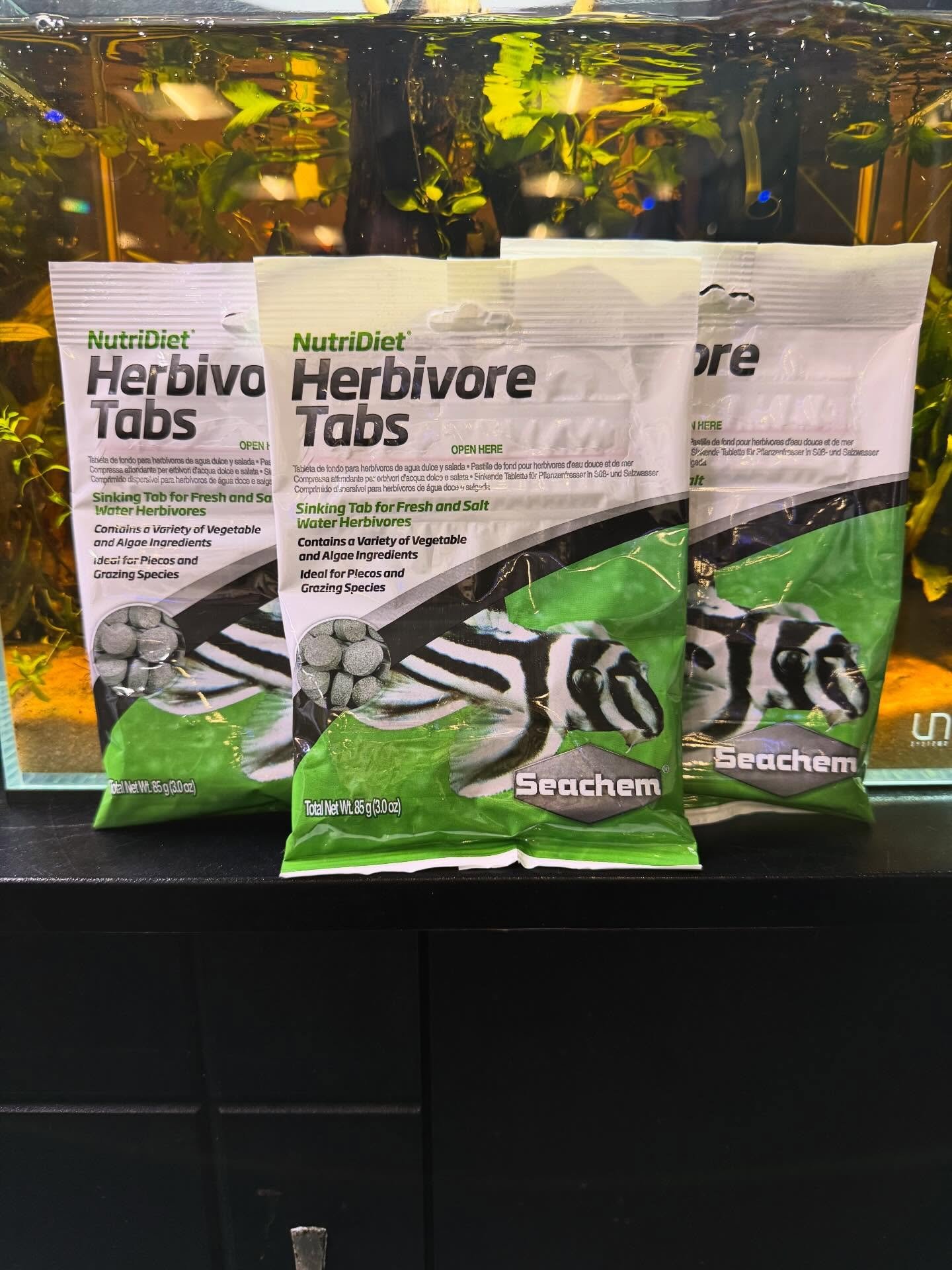 A lot of critters have been loving the @seachem_laboratories Herbivore Tablets 💚
The panda garras go crazy as soon as one is dropped in and our resident sea hare, Shrek, also finds them to be a yummy snack! #seachem #freshwateraquarium #saltwateraqu