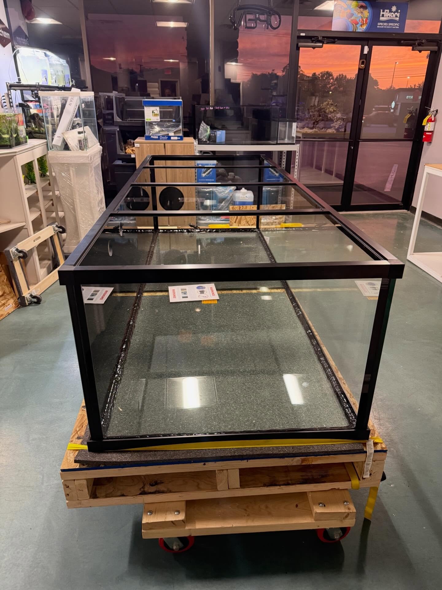 We are so excited to setup our new display tank from @customaquariums 🥳