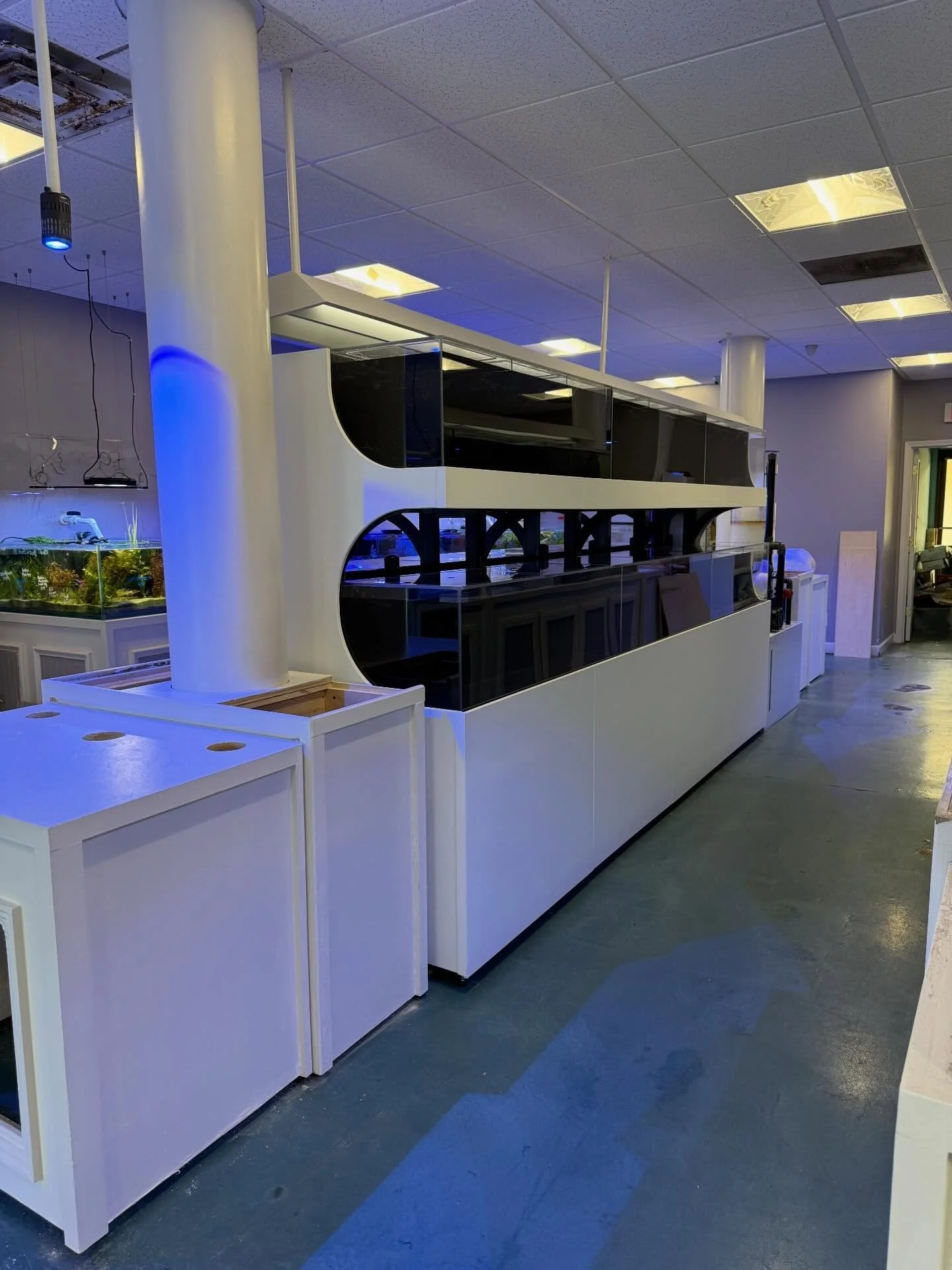 Huge shoutout to @mrcamerica and @bespokeaquariumsatl 1 system down, 2 to go (at a later date!) We will let you know when the saltwater system is stocked 🥳🐠🐡