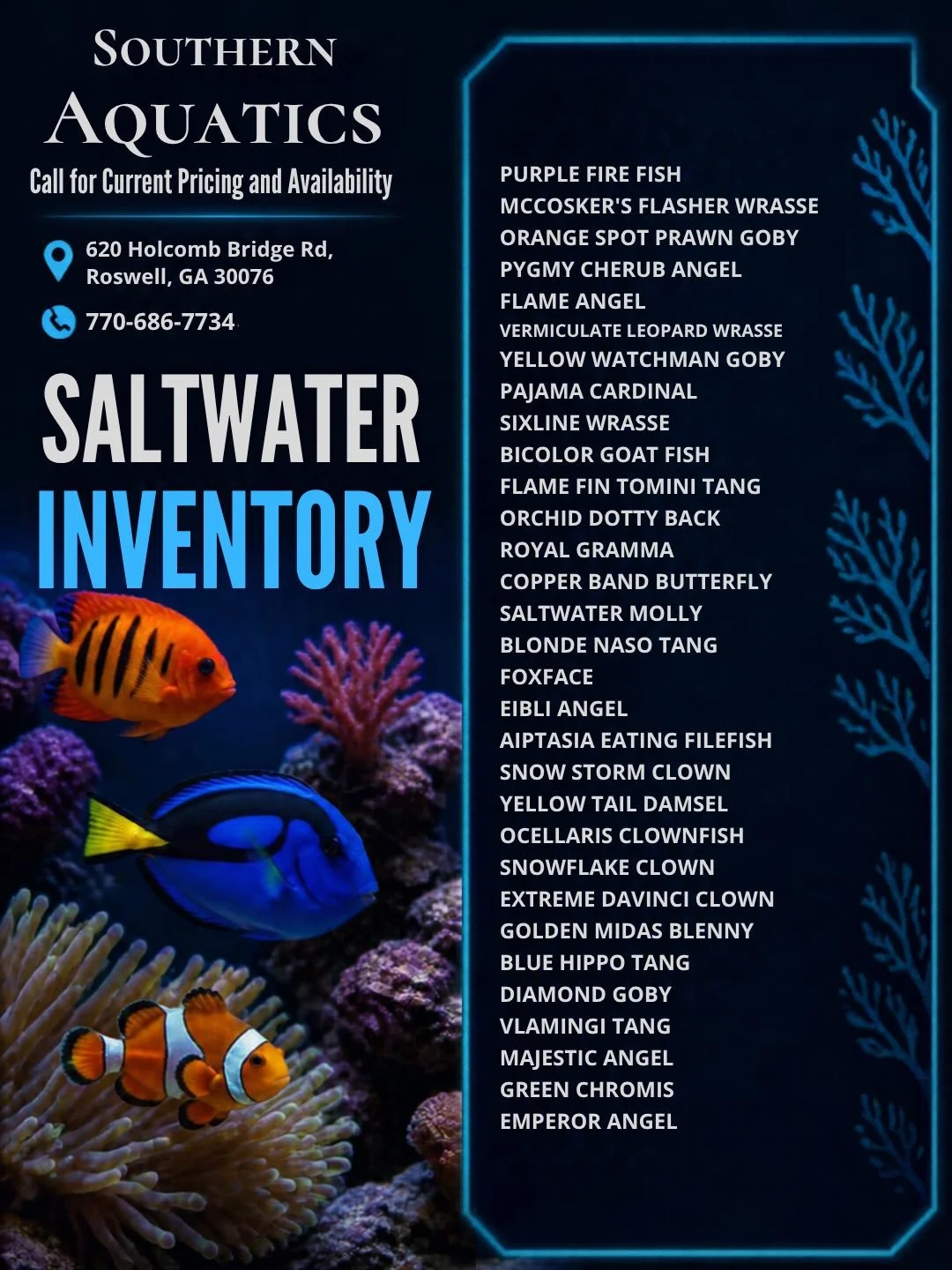 What we have available right now! Call us for current pricing and availability 🌊🐠 #southernaquaticslfs #roswellga #freshwateraquarium #saltwateraquarium #fishtanks