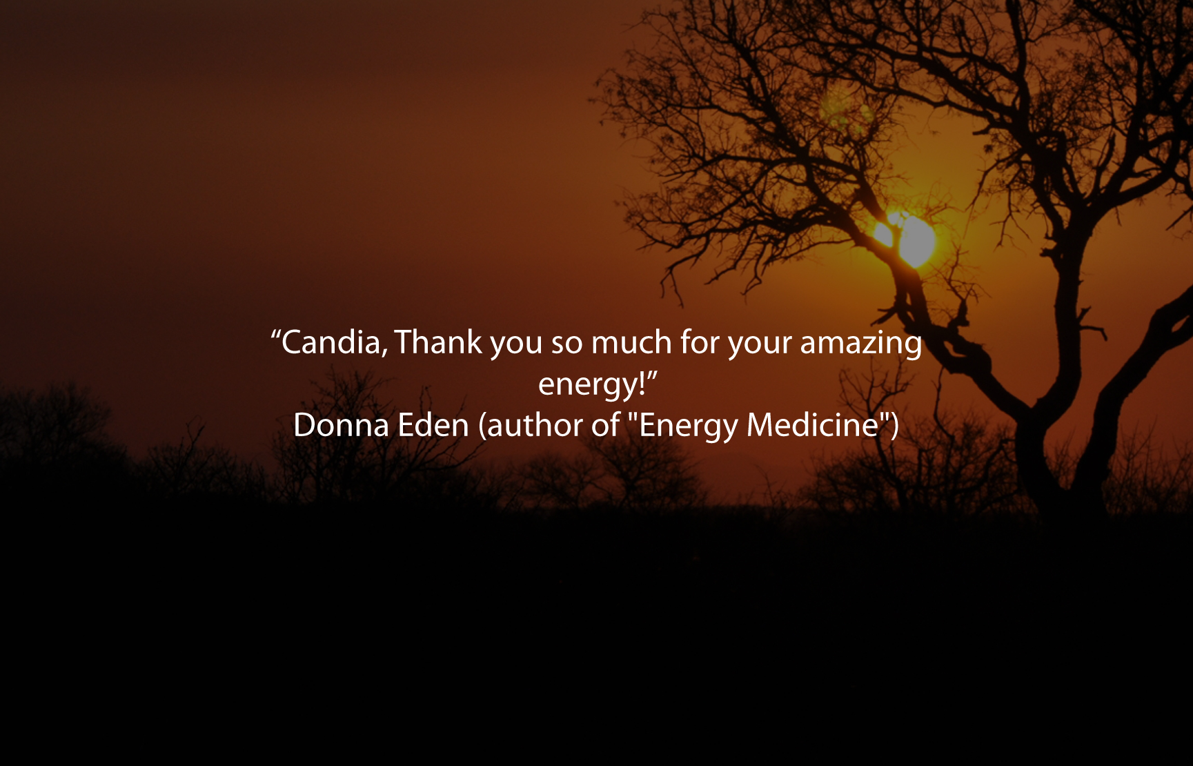 Testimonials-15.jpg