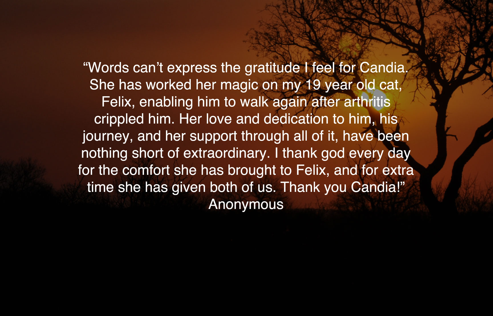 Testimonials-18.jpg