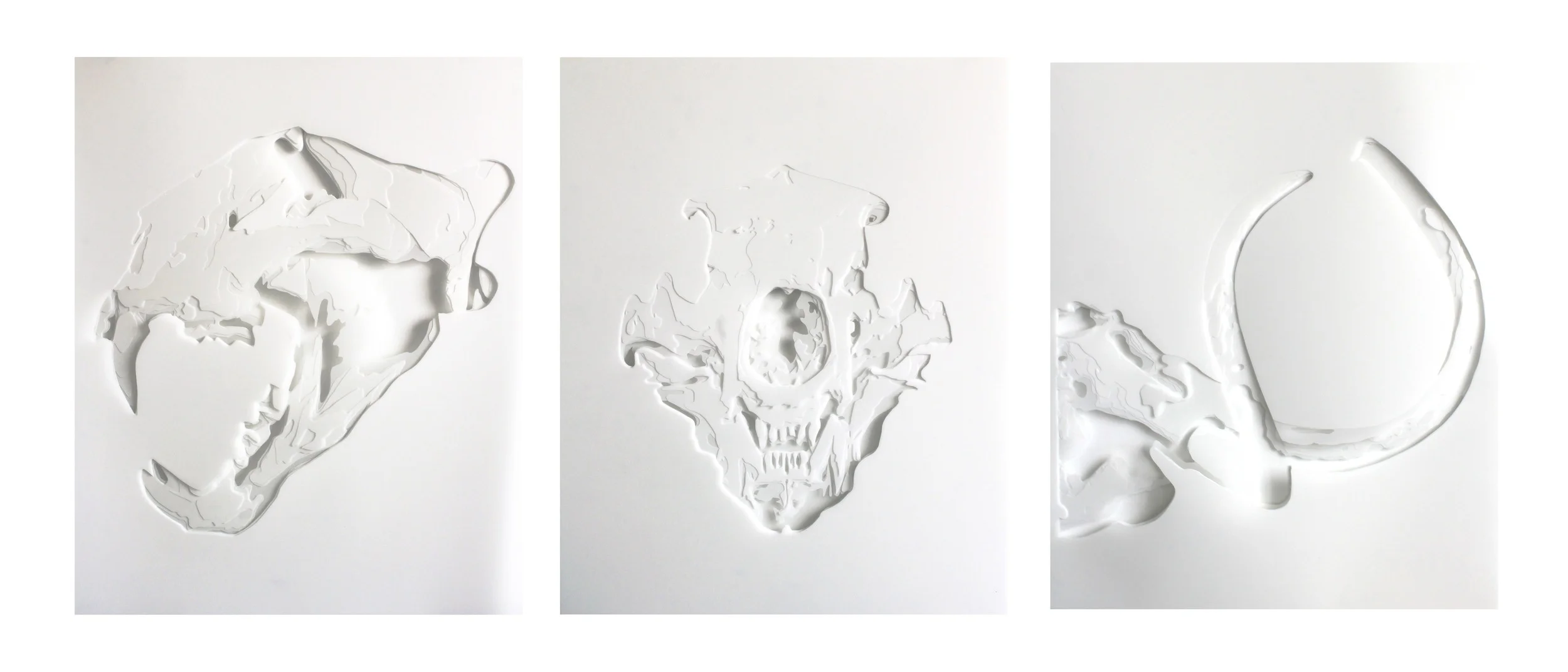 the skulls (triptych)