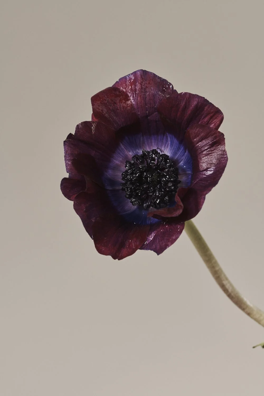 191126_Shot 12_011.jpg
