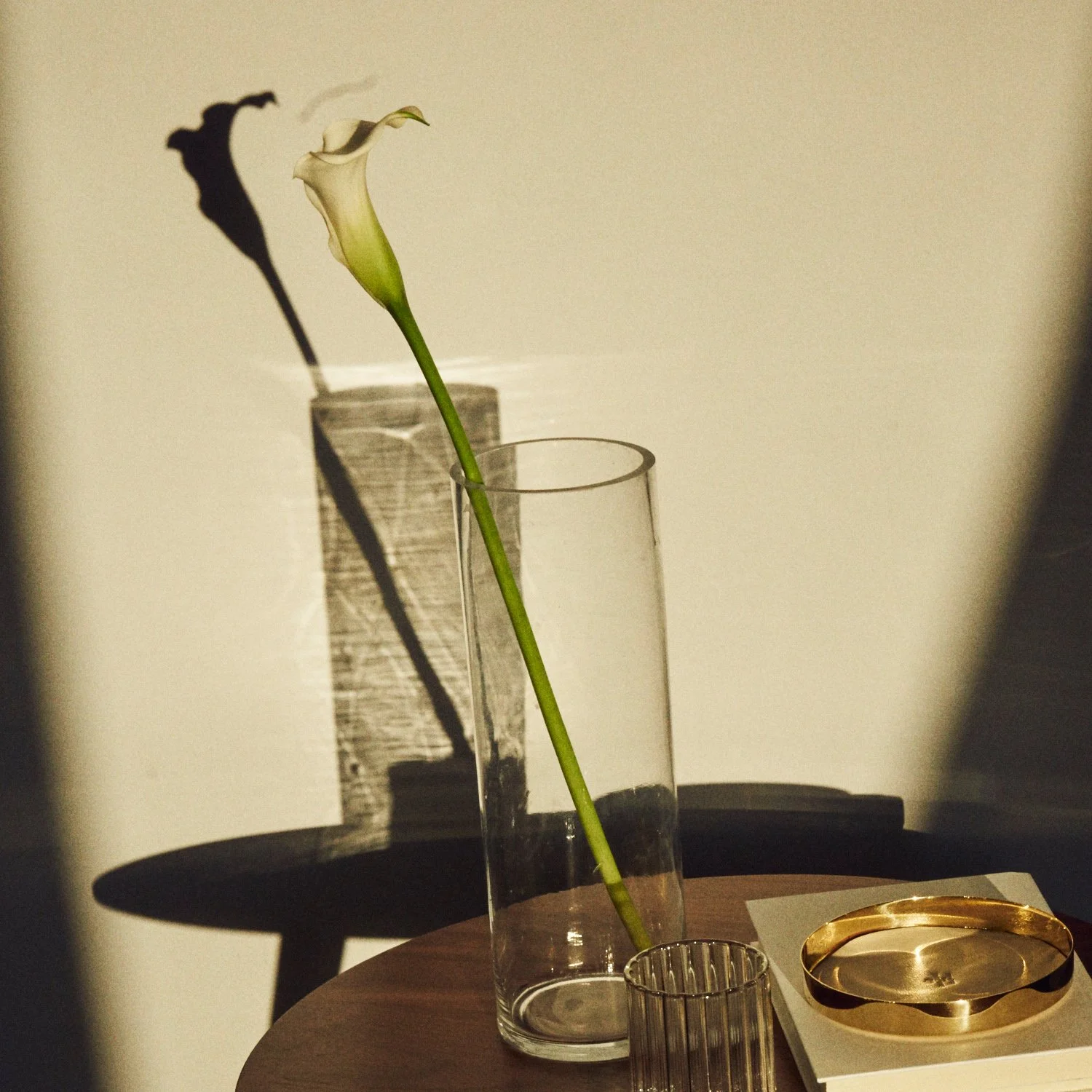 022_014.jpg