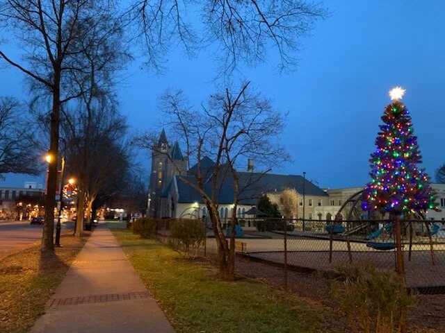 Playground Christmas Tree Lighting