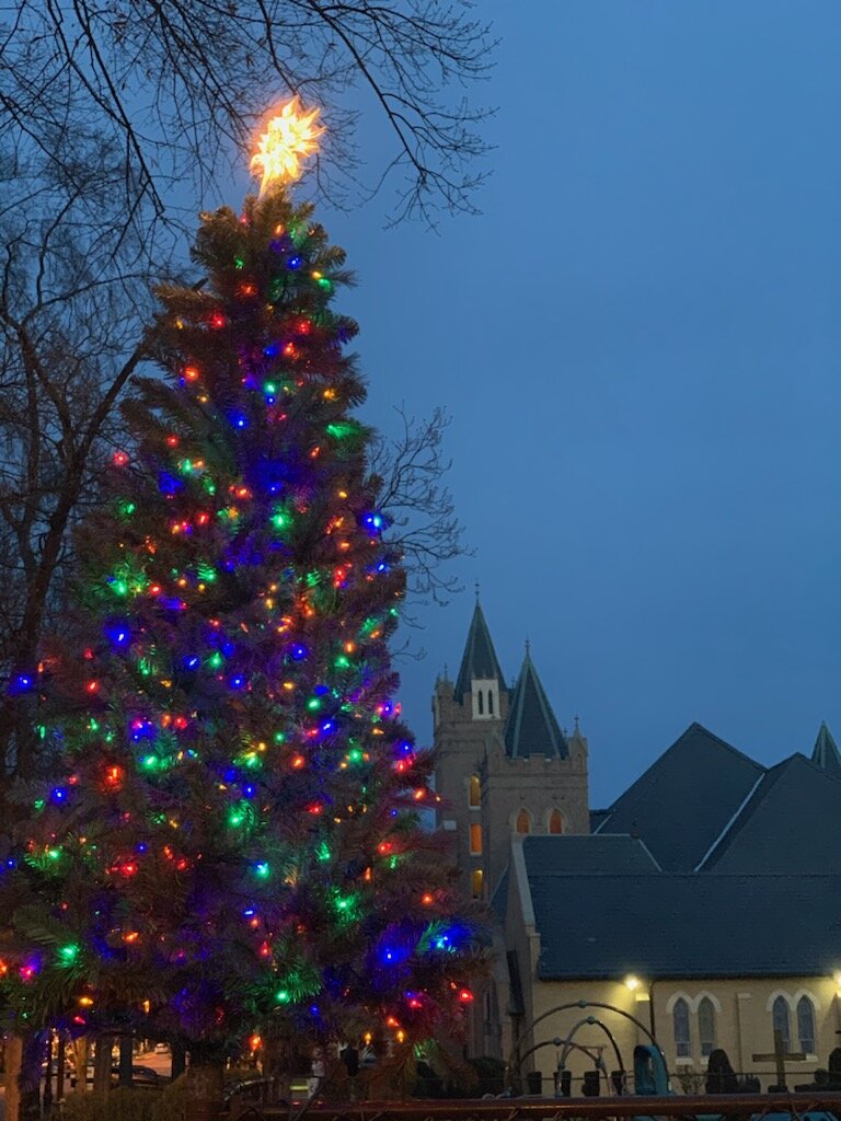 Playground Christmas Tree Lighting