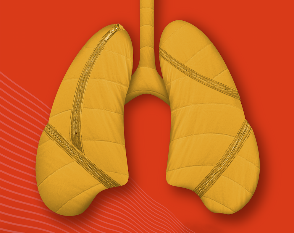 Screen Shot 2019-09-25 at 3.45.04 PM.png