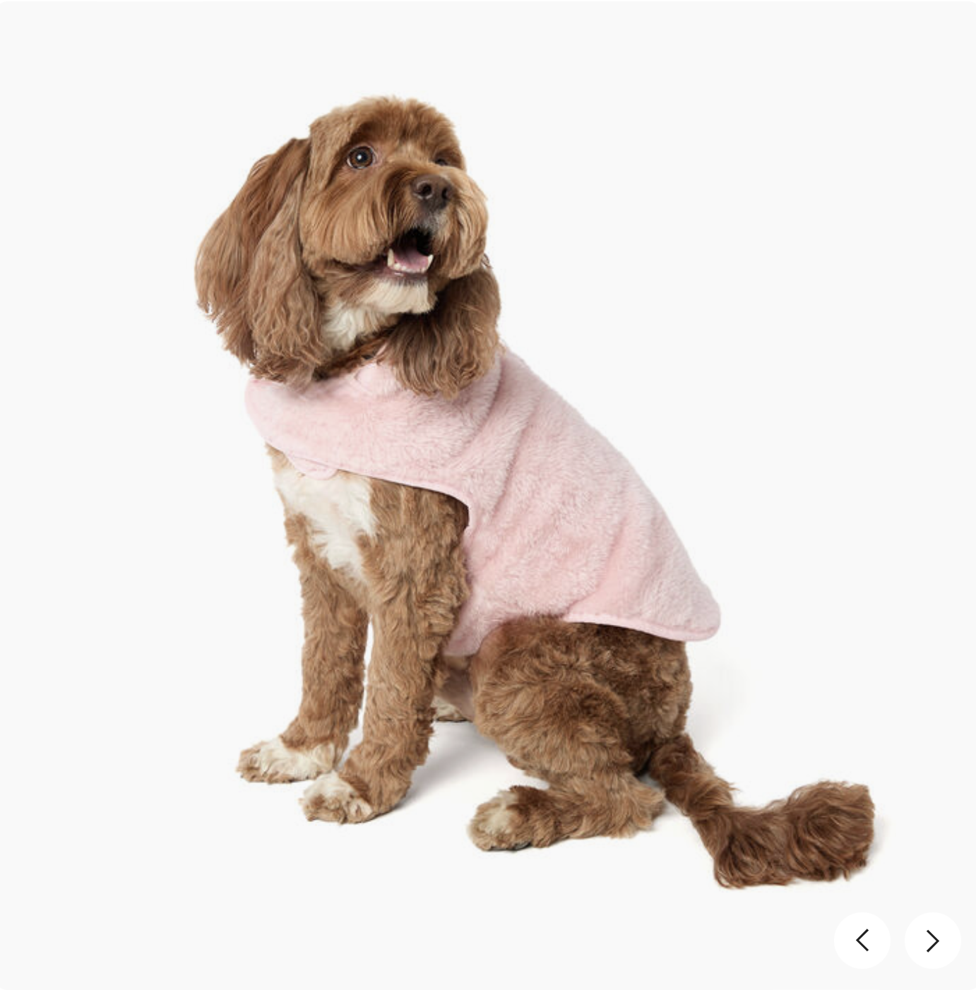 Screenshot 2025-10-24 at 3.22.24 PM.png