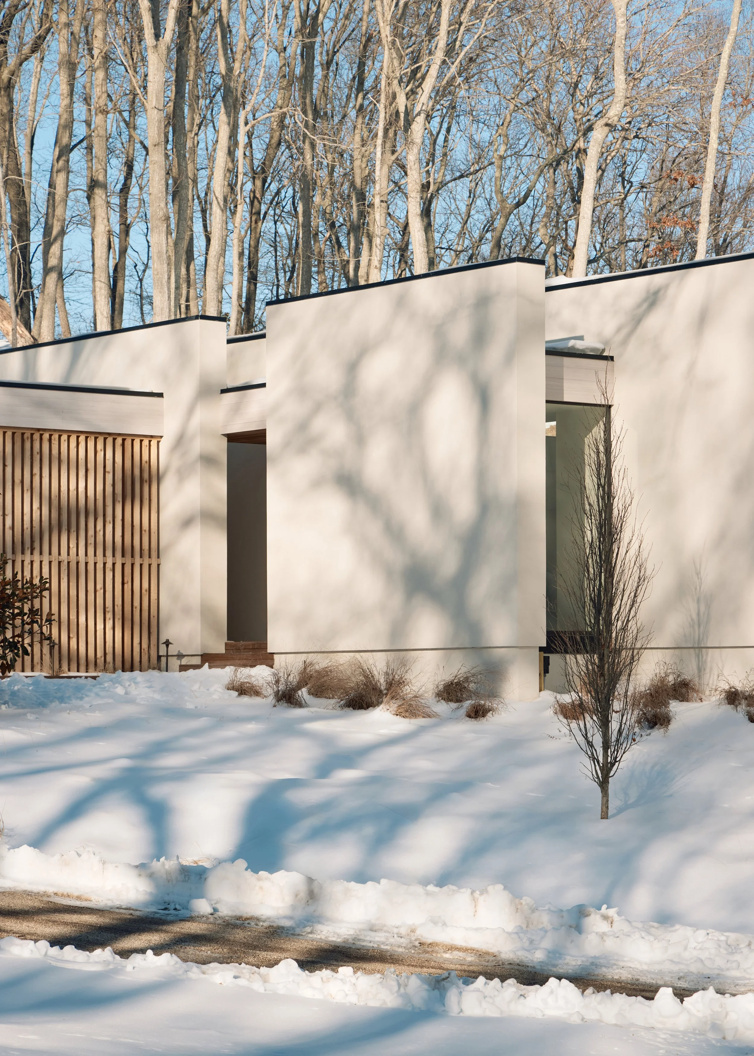 260205_WEPLUSDESIGN_SUNNYSIDE_(glenallsop)_034.JPG